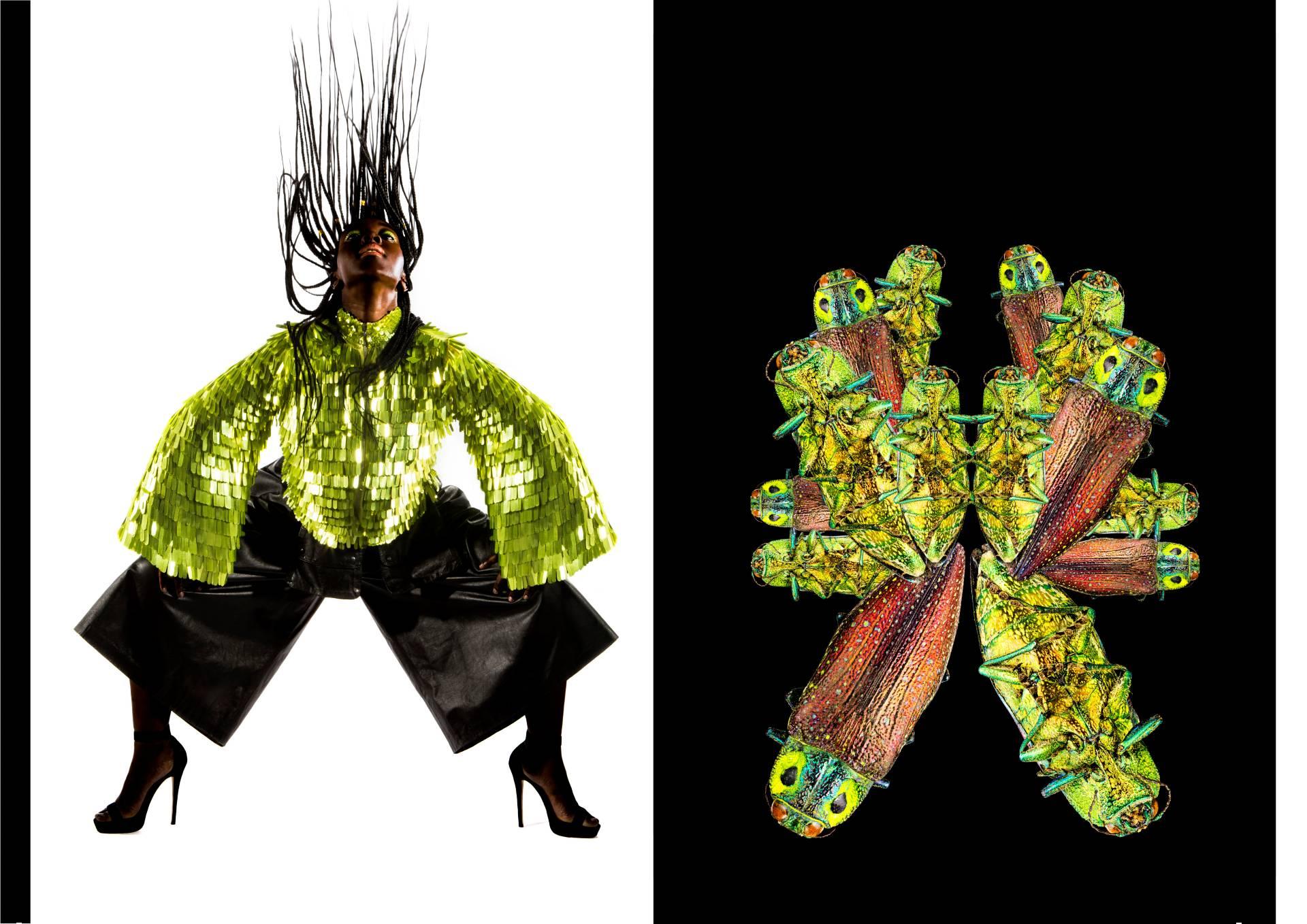 Two photos. Left-hand image shows a model in a shiny top and high heels whipping their hair back. Right-hand photo shows several images of a yellow and brown beetle.