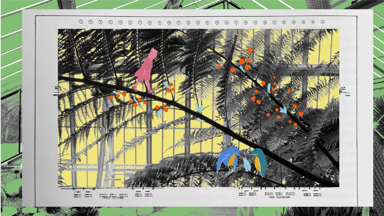 ‘Glasshouses’ screenshot of music video, pink character in trees with oranges and birds.