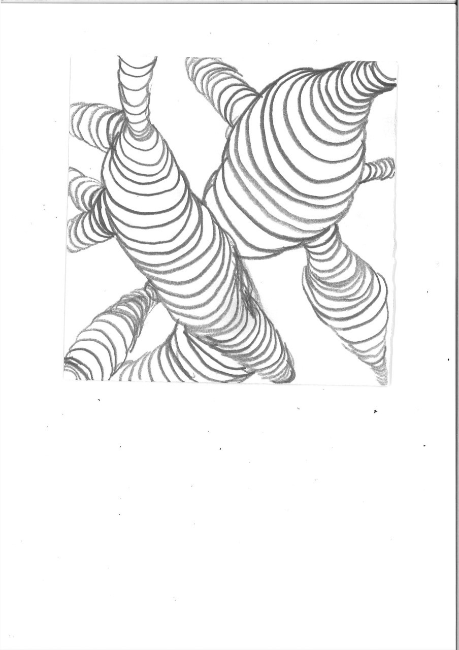 A series of curves form odd-shaped bulbous structures that connect in the middle