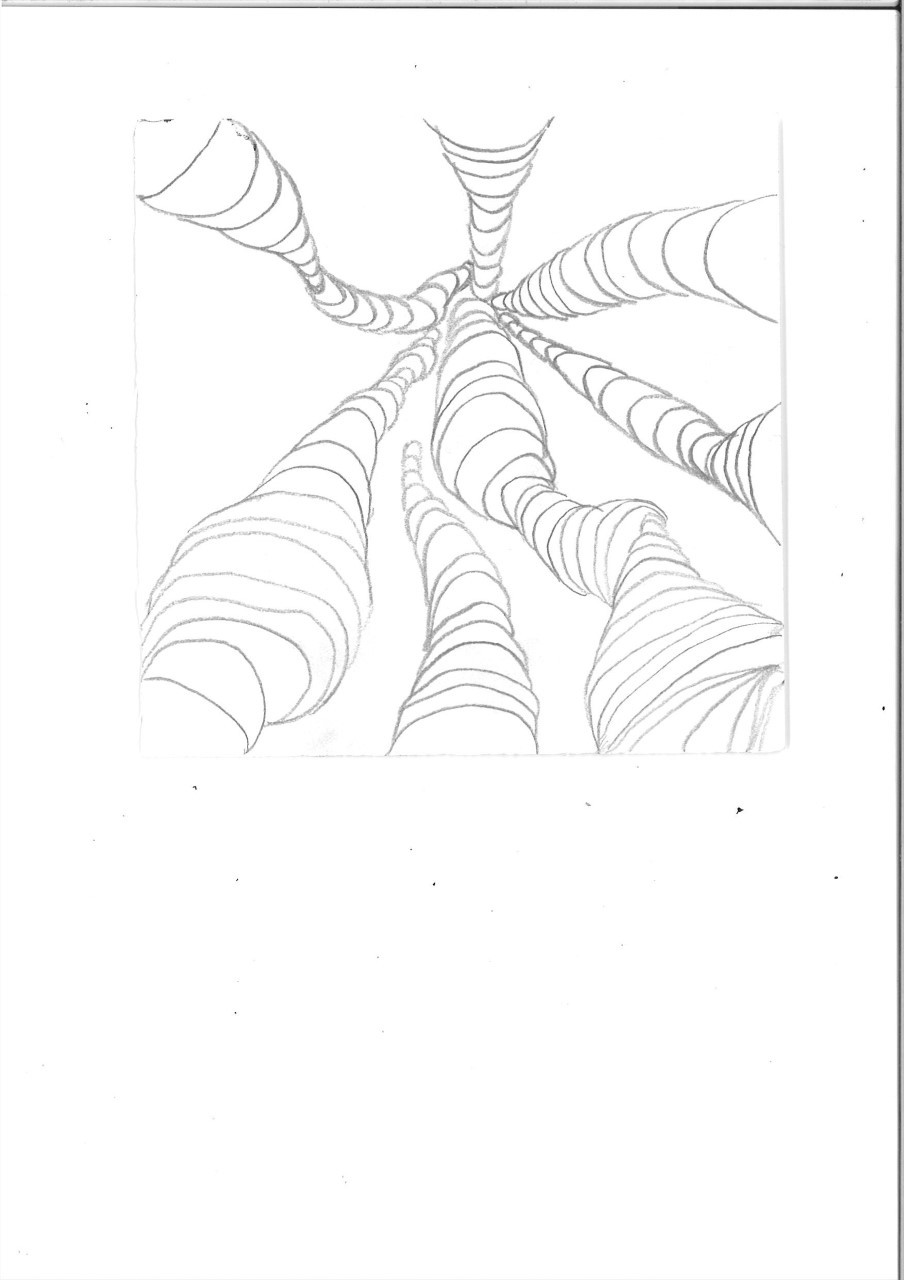 A drawing of a series of tubes meeting in the centre of the page