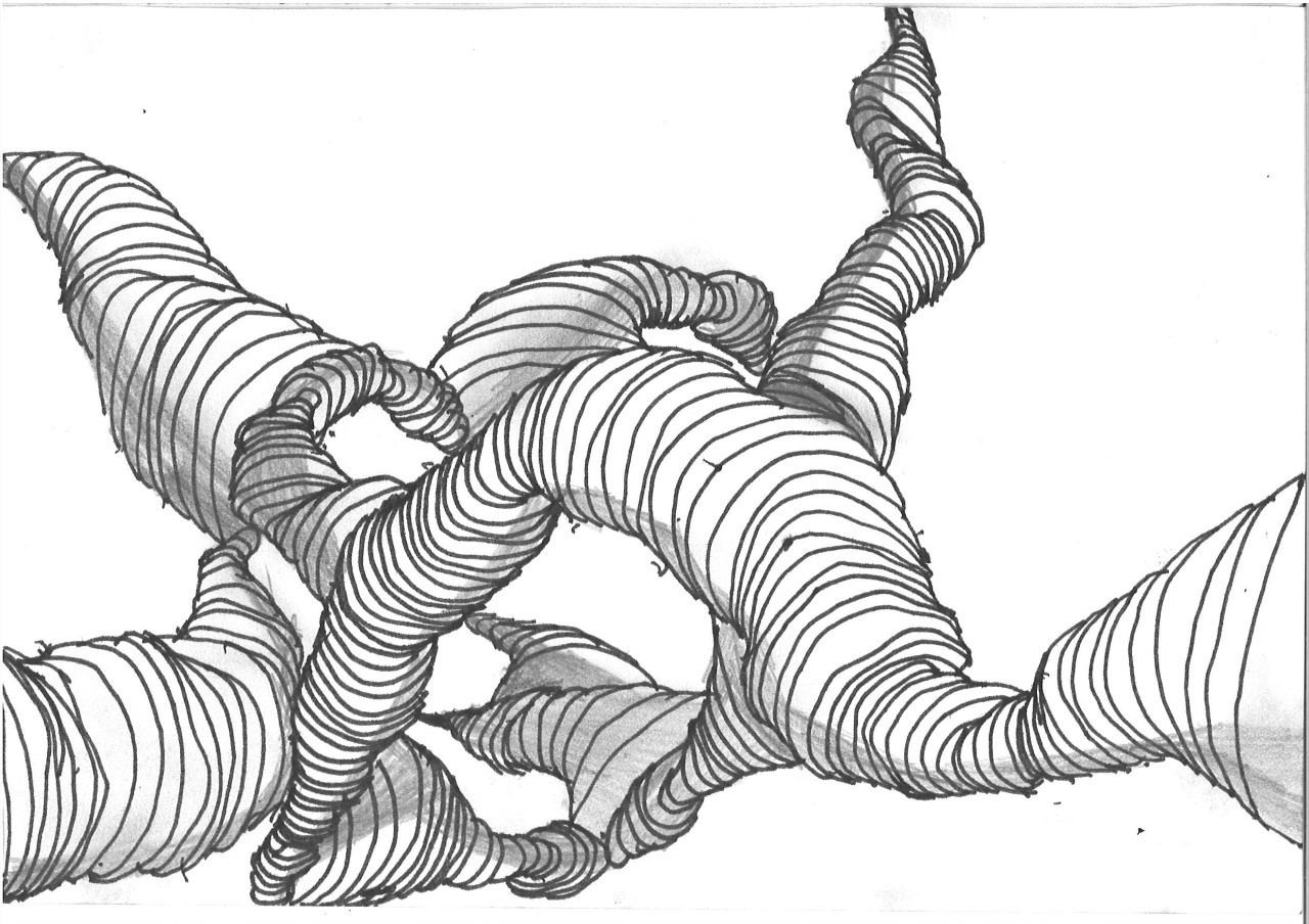 A series of curves drawn and shaded to form a three-dimensional structure