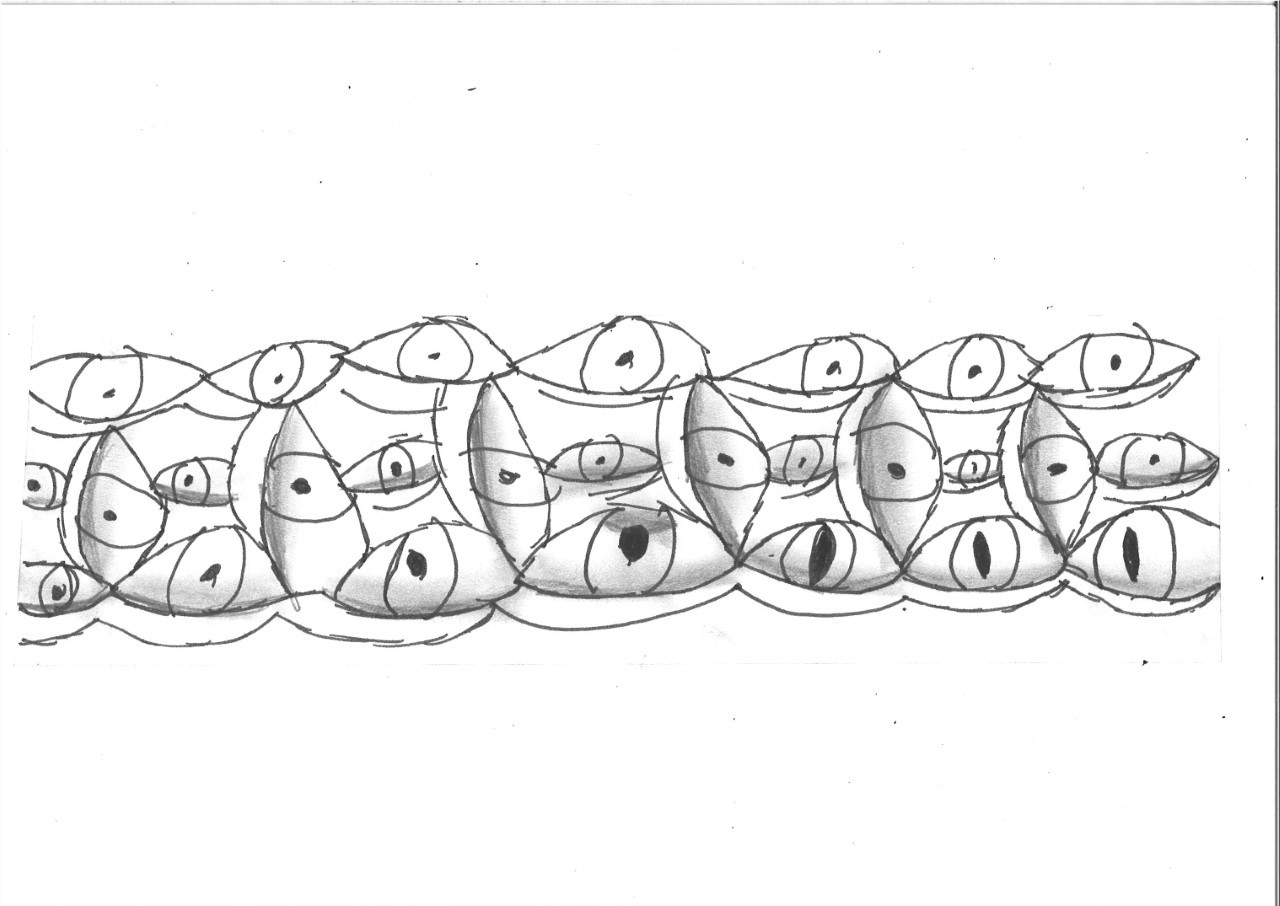 A collection of eyes arranged in formation across a page