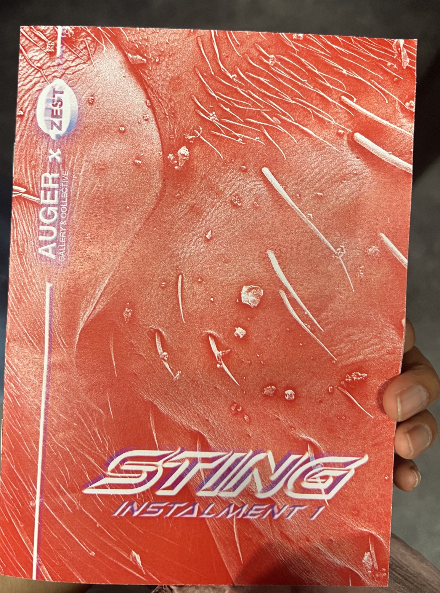 Cover of a pamphlet for "Sting Instalment 1" exhibition in Boscombe, Bournemouth, with a bright red abstract image on the cover.