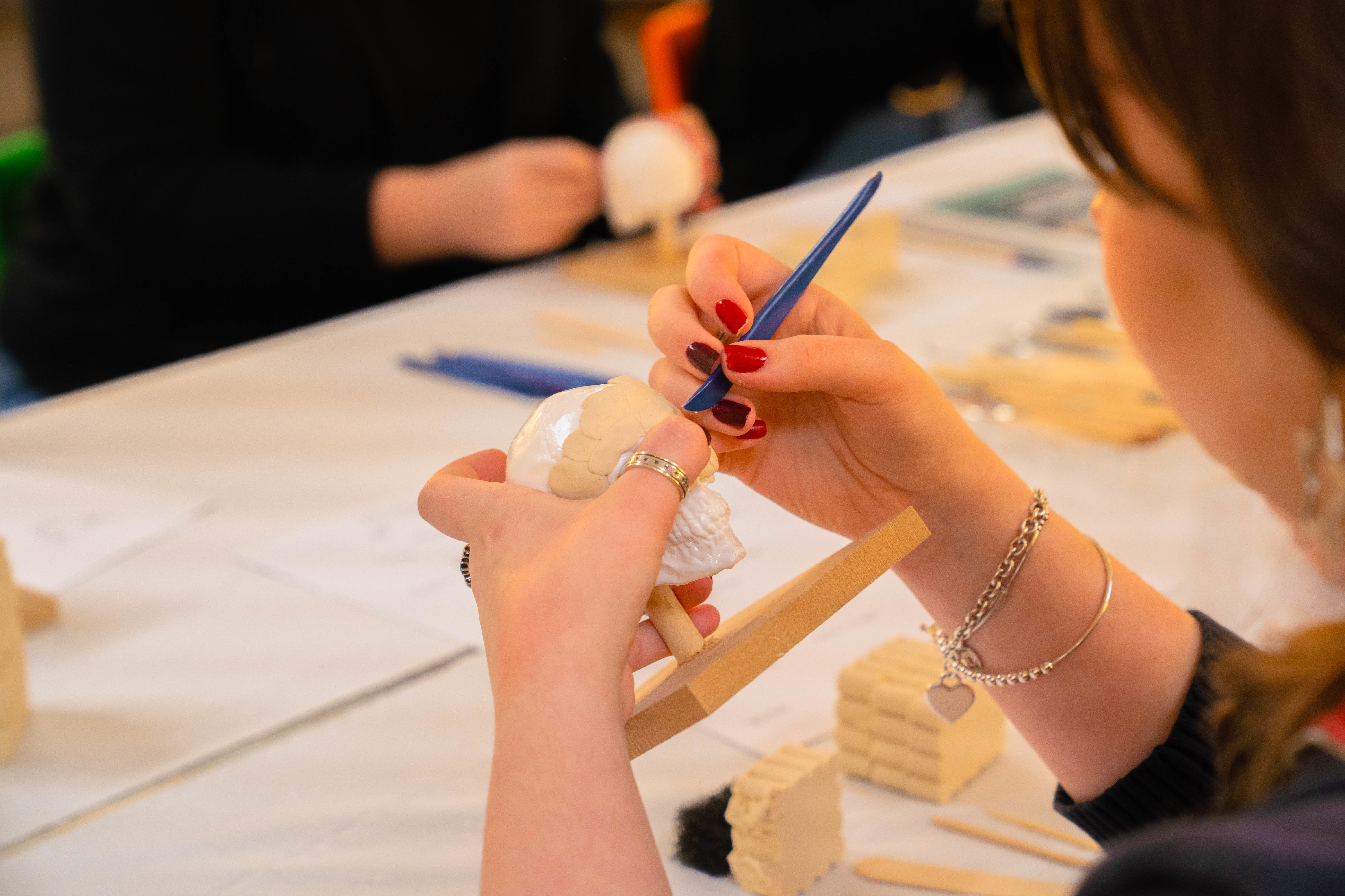 Close-up of a young person applying clay to a model skull.