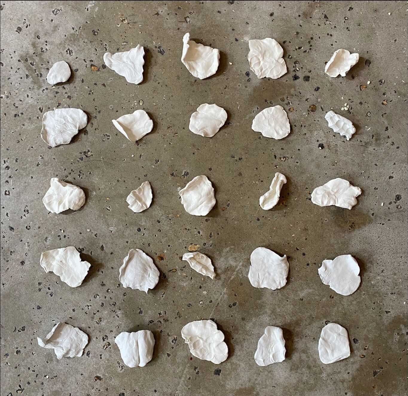 An arrangement of clay, shell-like objects on the ground, five by five.