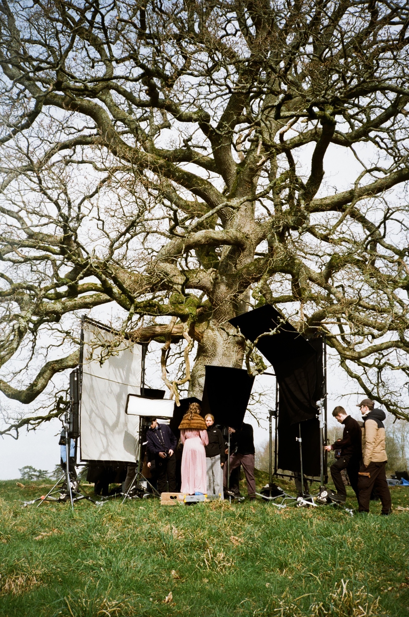 Crew of BA (Hons) Film Production students with cameras and lighting equipment positioned beneath large bare oak tree. Person in pink dress stands between black screens.