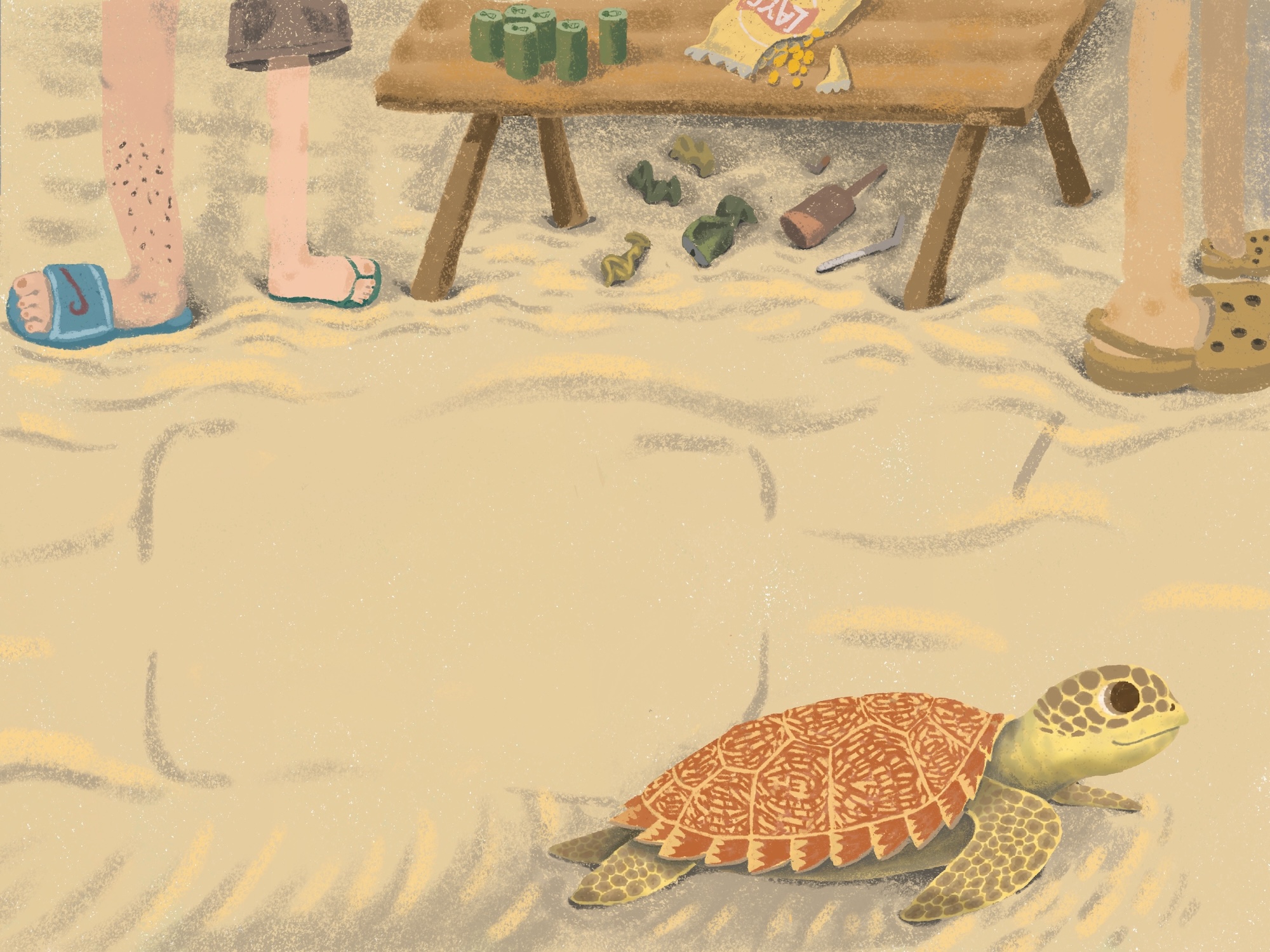 A small turtle with a patterned shell crawls across sandy ground near people standing beside a low wooden table with cups and snack packets.