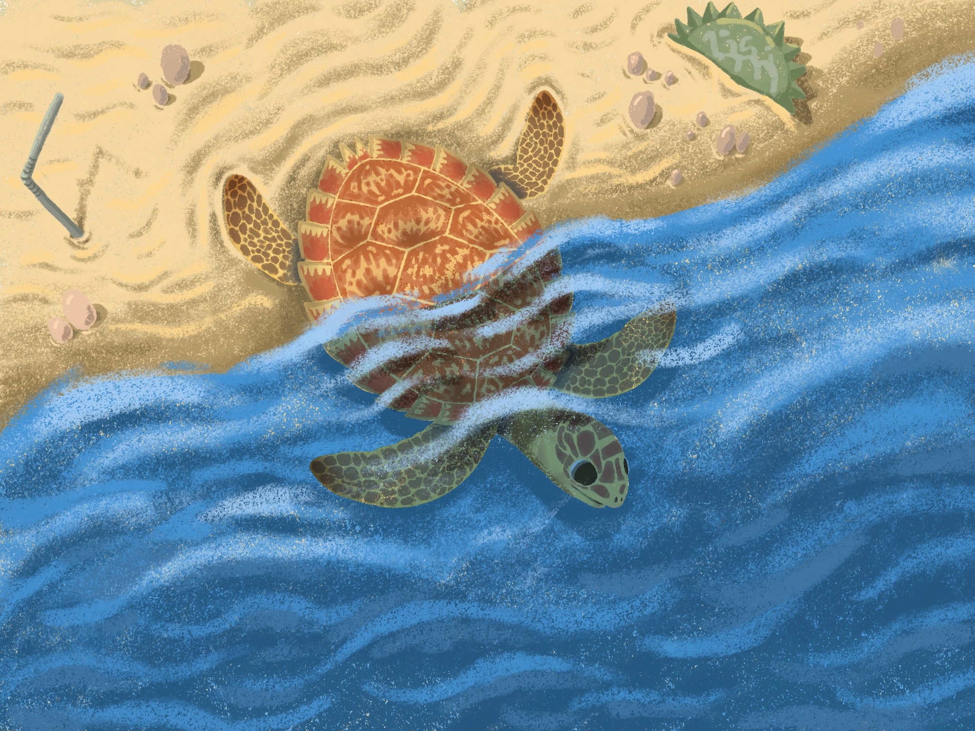 A sea turtle swimming in blue water near a sandy shore, with another turtle and a fish partially visible above the surf.