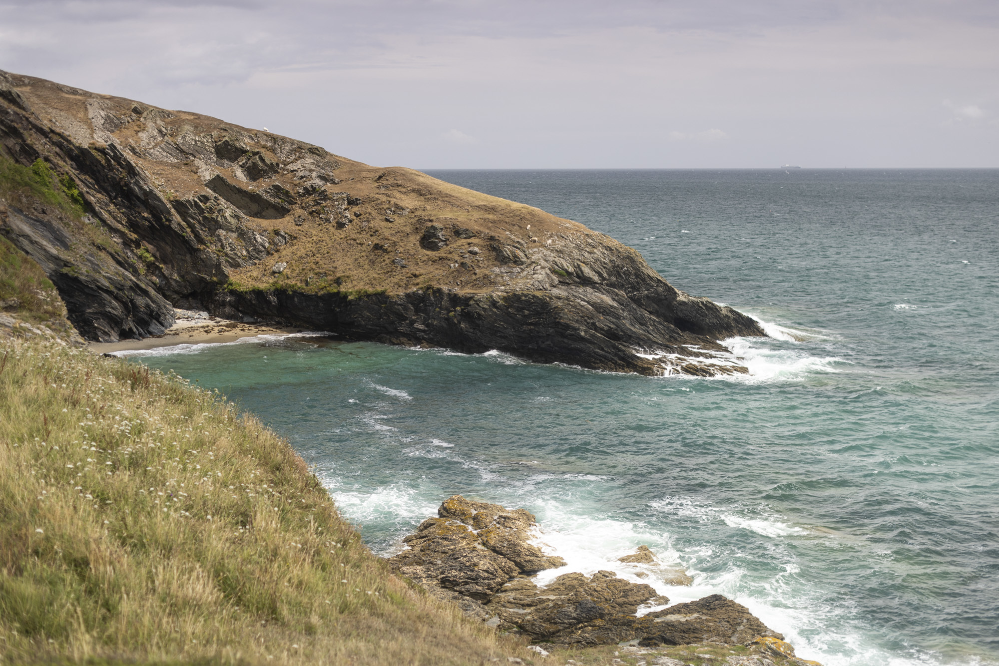Roseland Peninsula, Cornwall, tall, sloping grassy cliffs with a blue sea below.