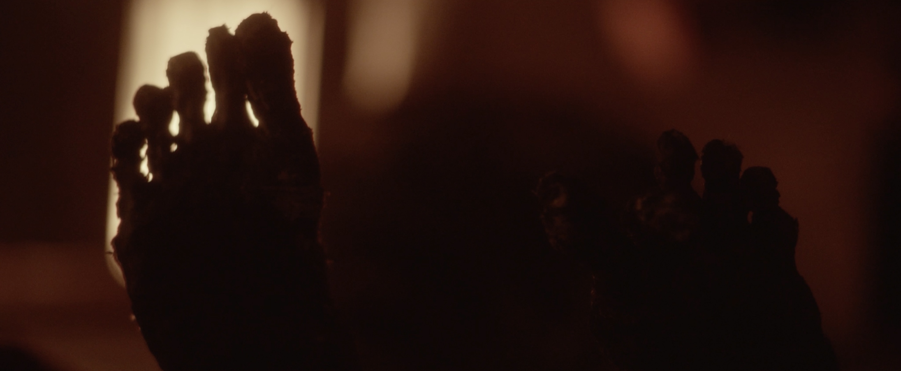 The image shows a close-up silhouette of a person's toes in low light, with a warm glow from a source in the background. The focus is on the five toes, with the surrounding area appearing blurred.