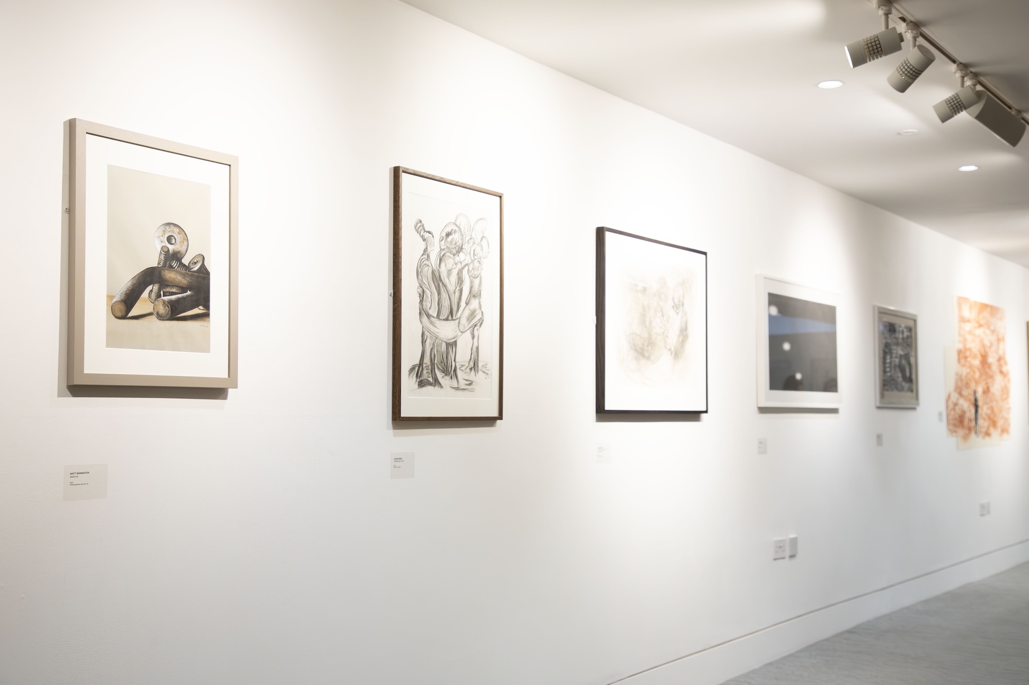 A gallery wall displaying six framed artworks, including sketches and drawings, arranged in a linear format. The artwork features various subjects, with light walls and directional spotlights enhancing visibility of the pieces.