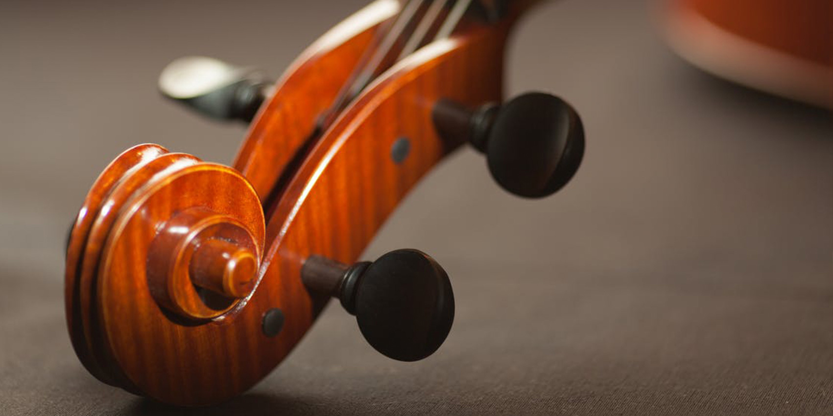 Close-up of the top end of a violin.