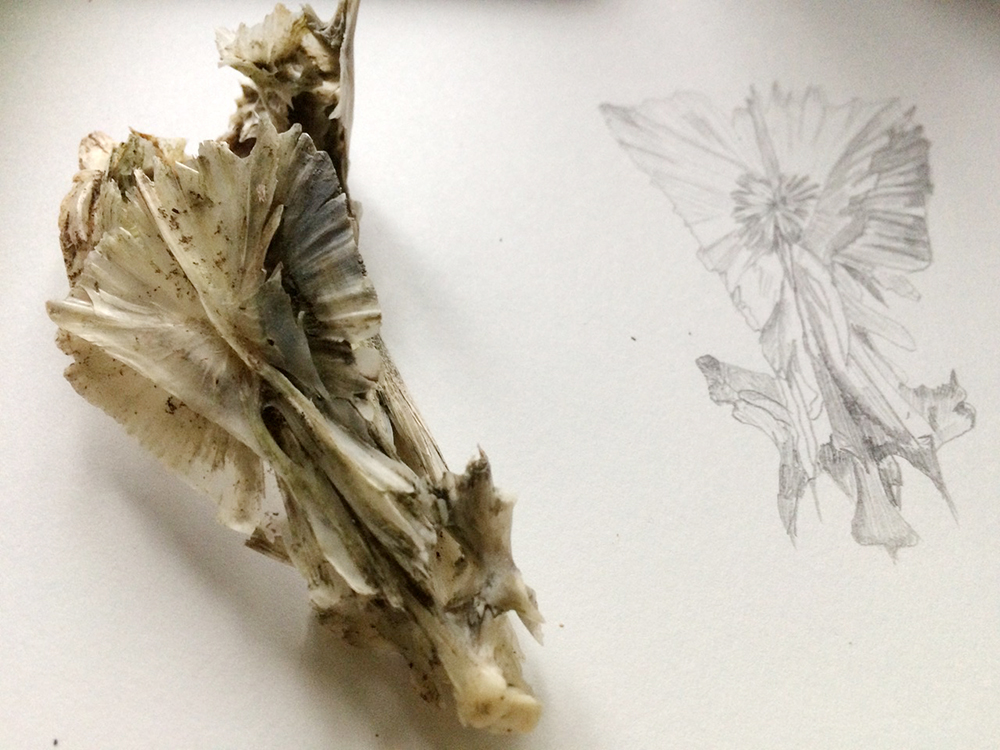 Simply drawing - nature shapes