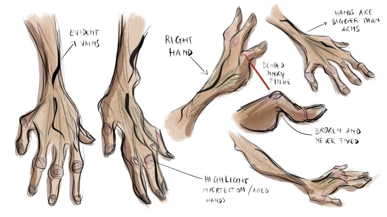 Animation hand study showing illustrations of hands and fingers with annotations.