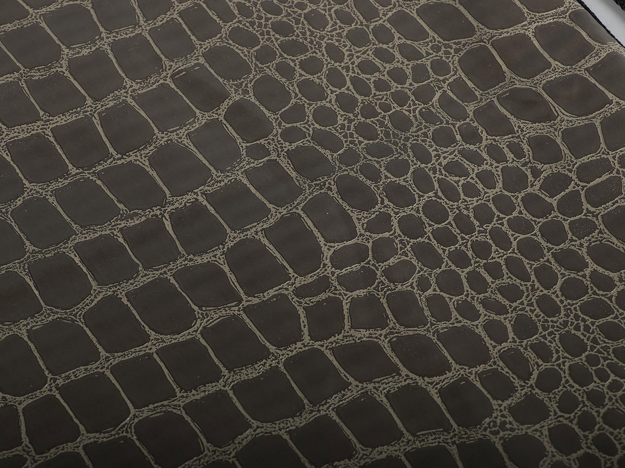 Close-up look at a back pack that is made of a material resembling reptile skin