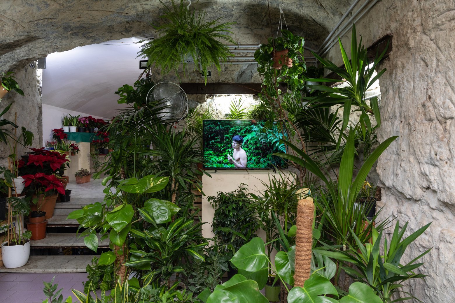 An exhibition view at Tarsia, a contemporary art space within a plant shop