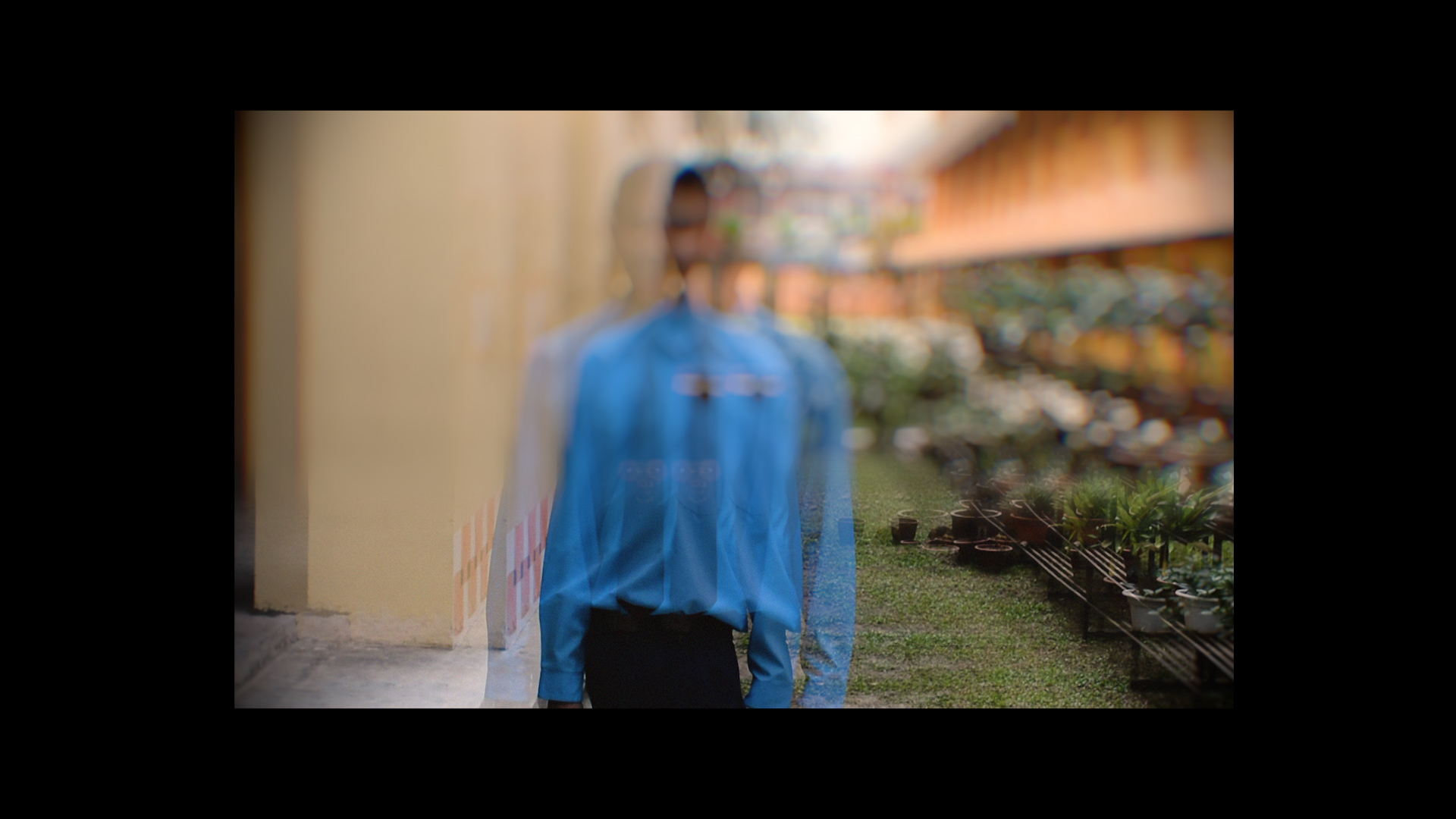 A blurred man in a blue top stands indoors beside a plant display and shelving.