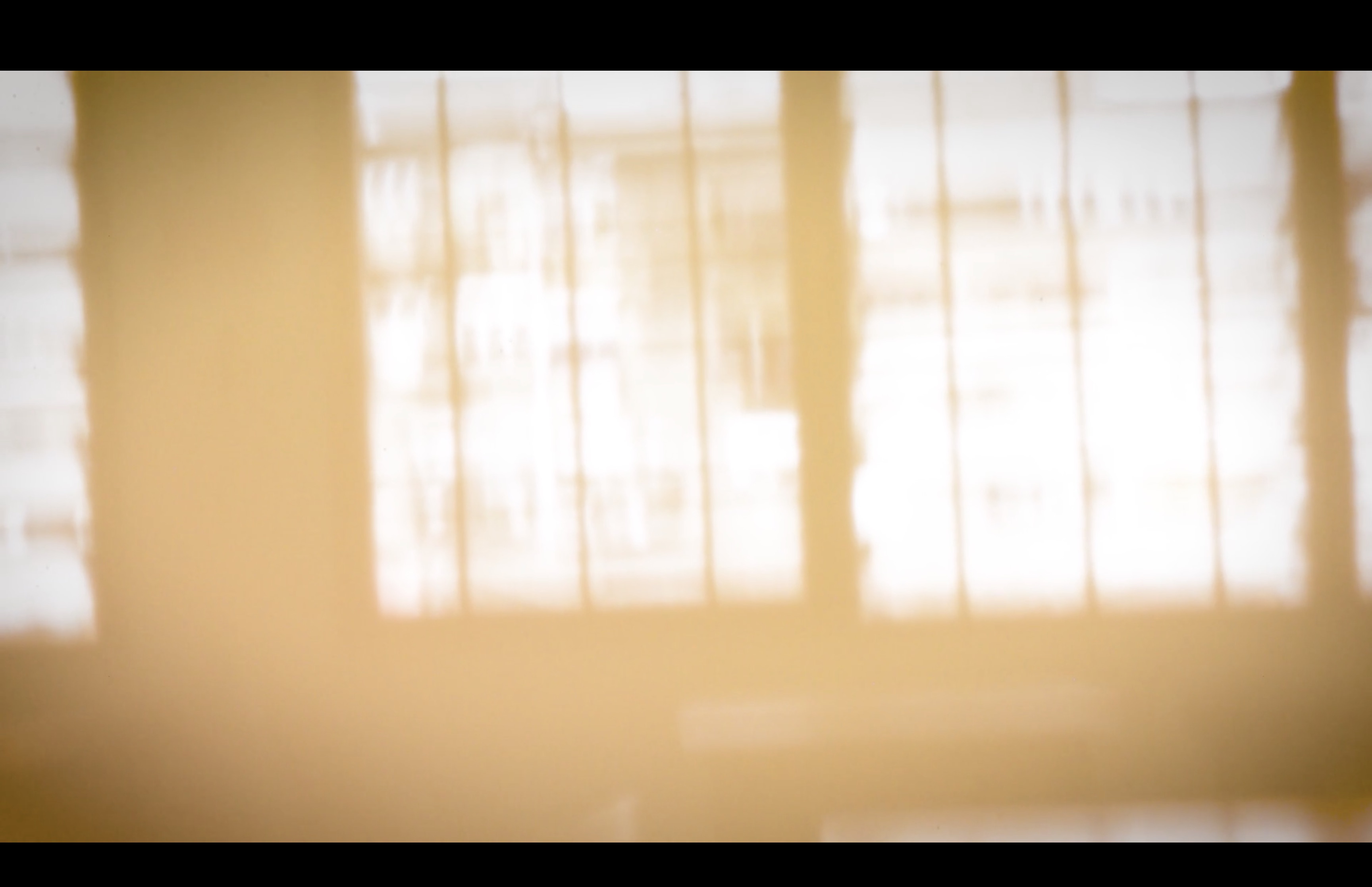 Blurred sunlight through large window panes with sheer curtains, casting a warm golden glow across the frame.