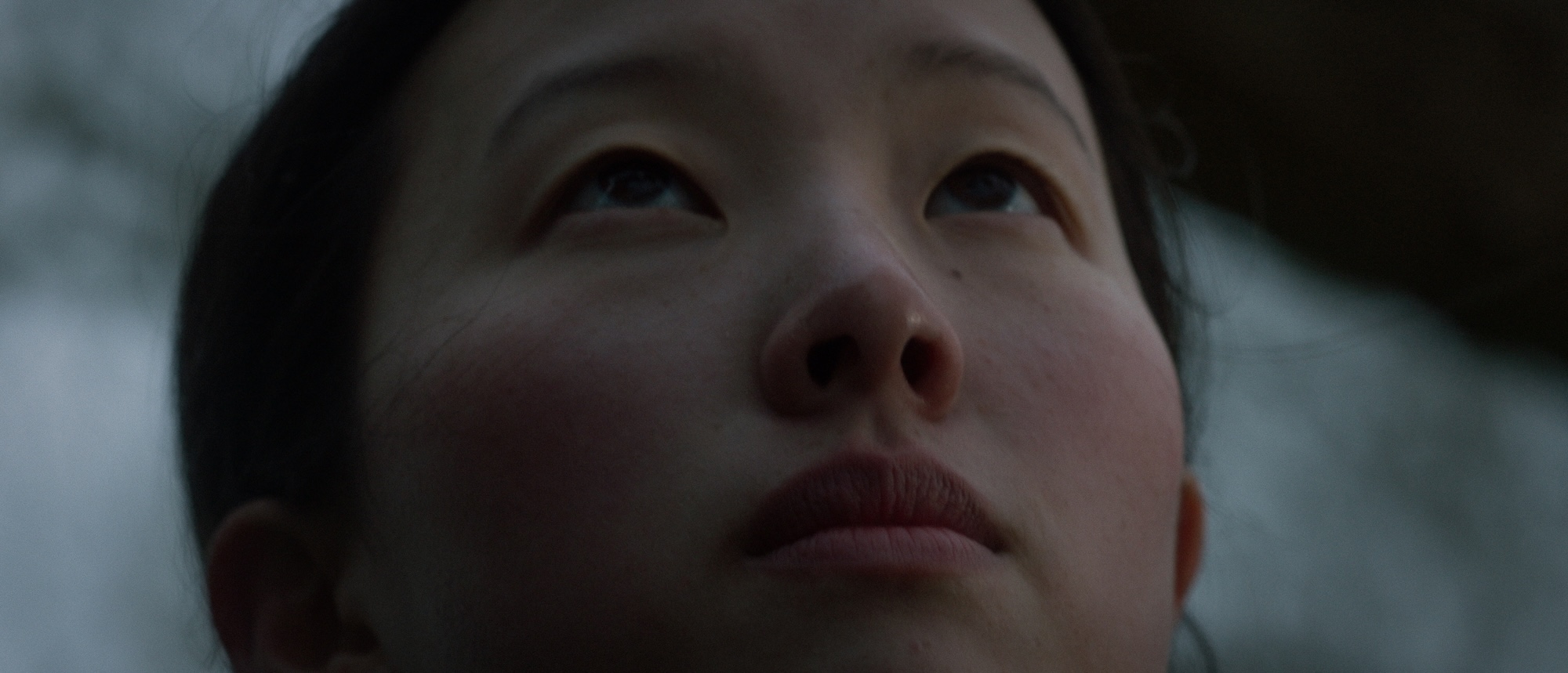 A close-up of a woman's face, looking upwards with her eyes partially closed. Her skin is smooth and fair, and she has dark hair pulled back. Soft, natural light highlights her features, while a blurred natural background is visible.