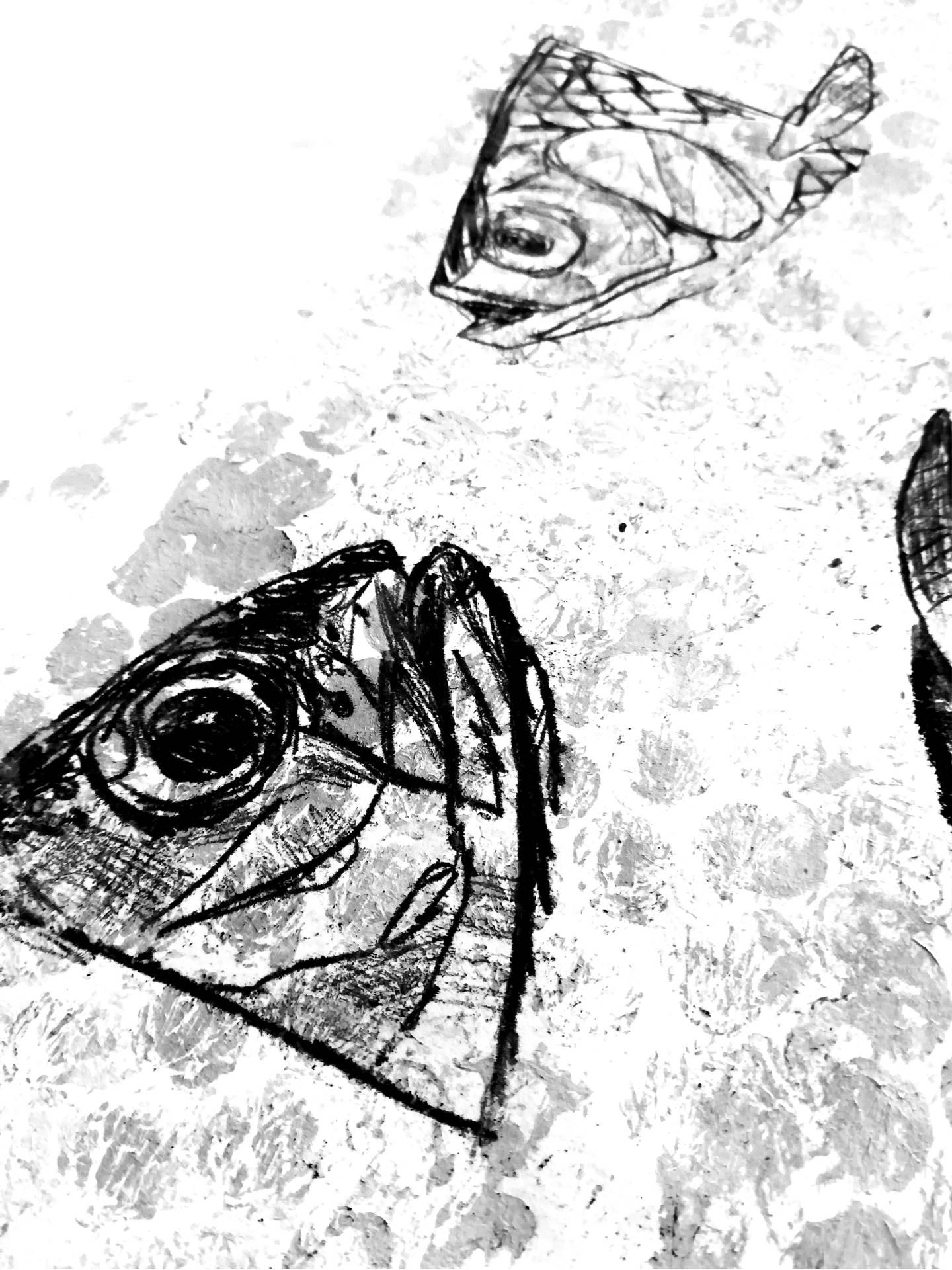 Line drawings of two fish heads facing each other.
