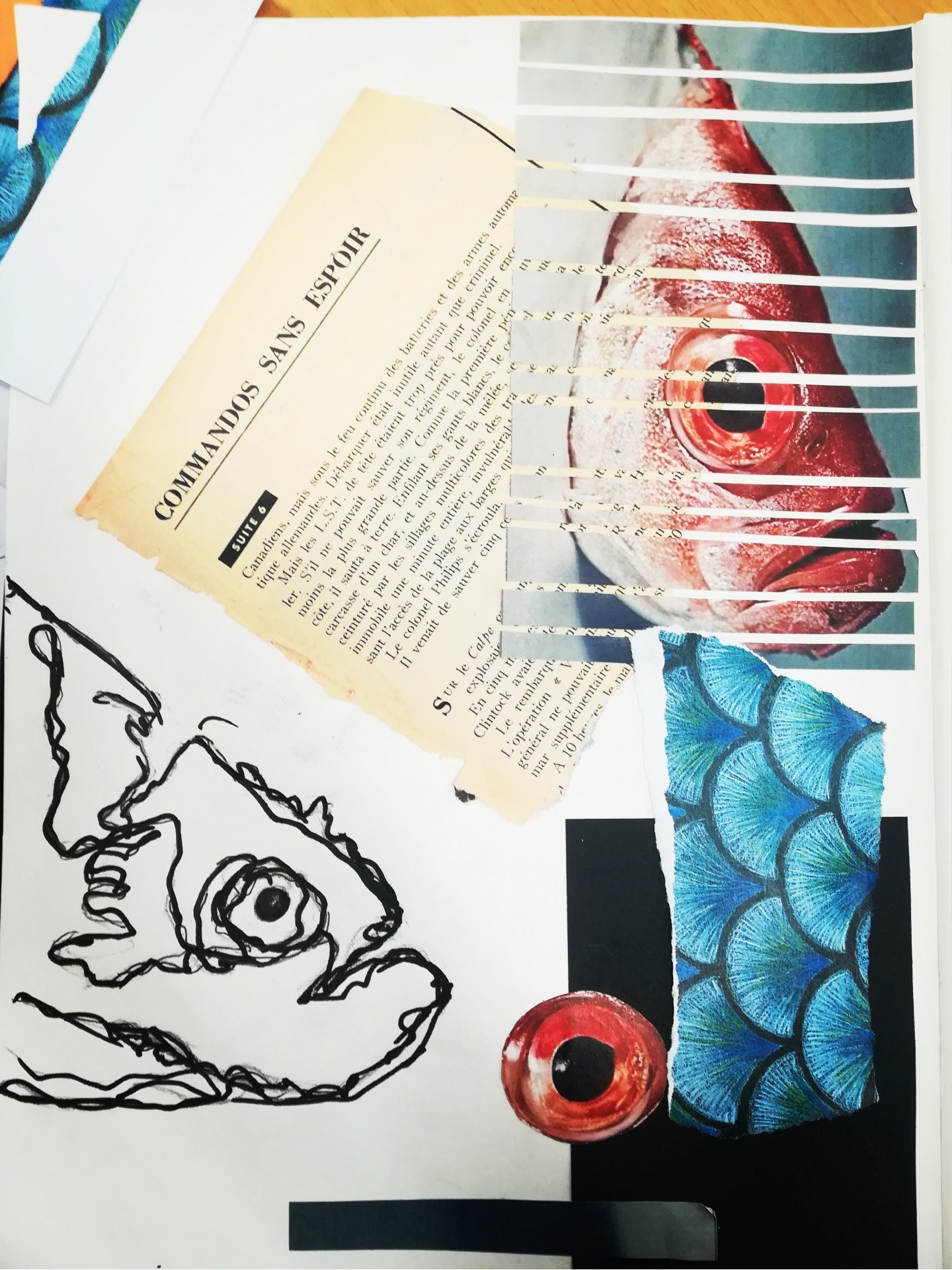 Scrapbook showing prints and drawings of a fish's head, eye and scales. A scrap of a document titled "Commandos sans espoir" is stuck in the middle on a diagonal.