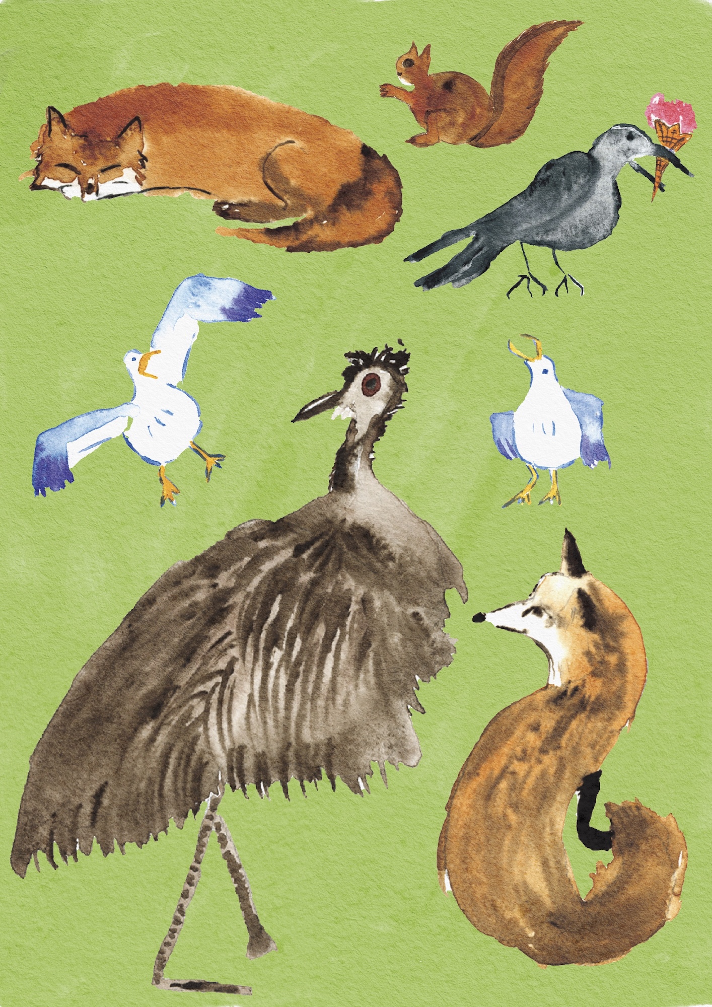 A watercolour-style illustration of several animals on a green background, including a large emu in the centre, a fox and a squirrel, and three birds.