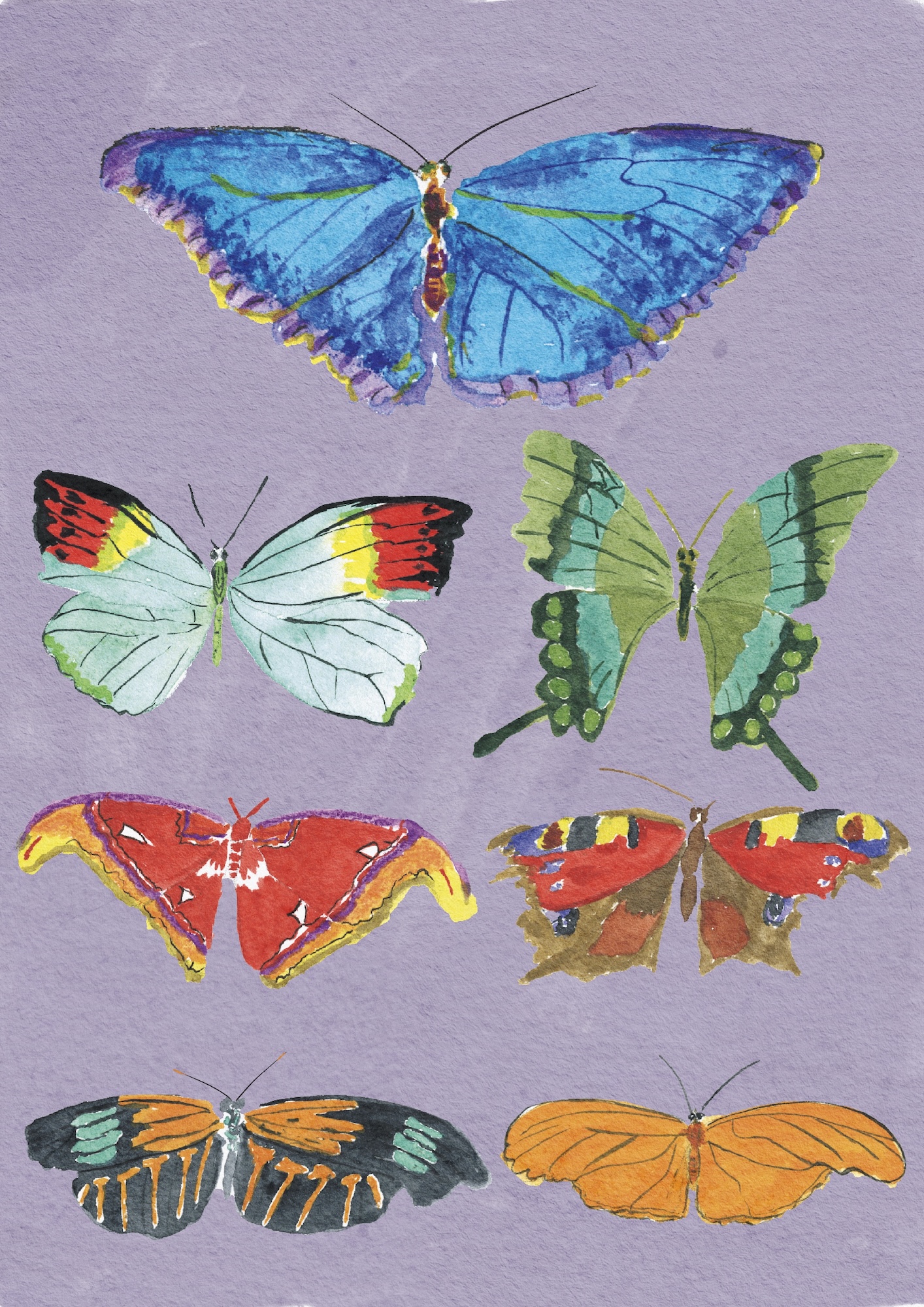 Seven painted butterflies in blue, green, red and orange on a lavender background, arranged in rows.