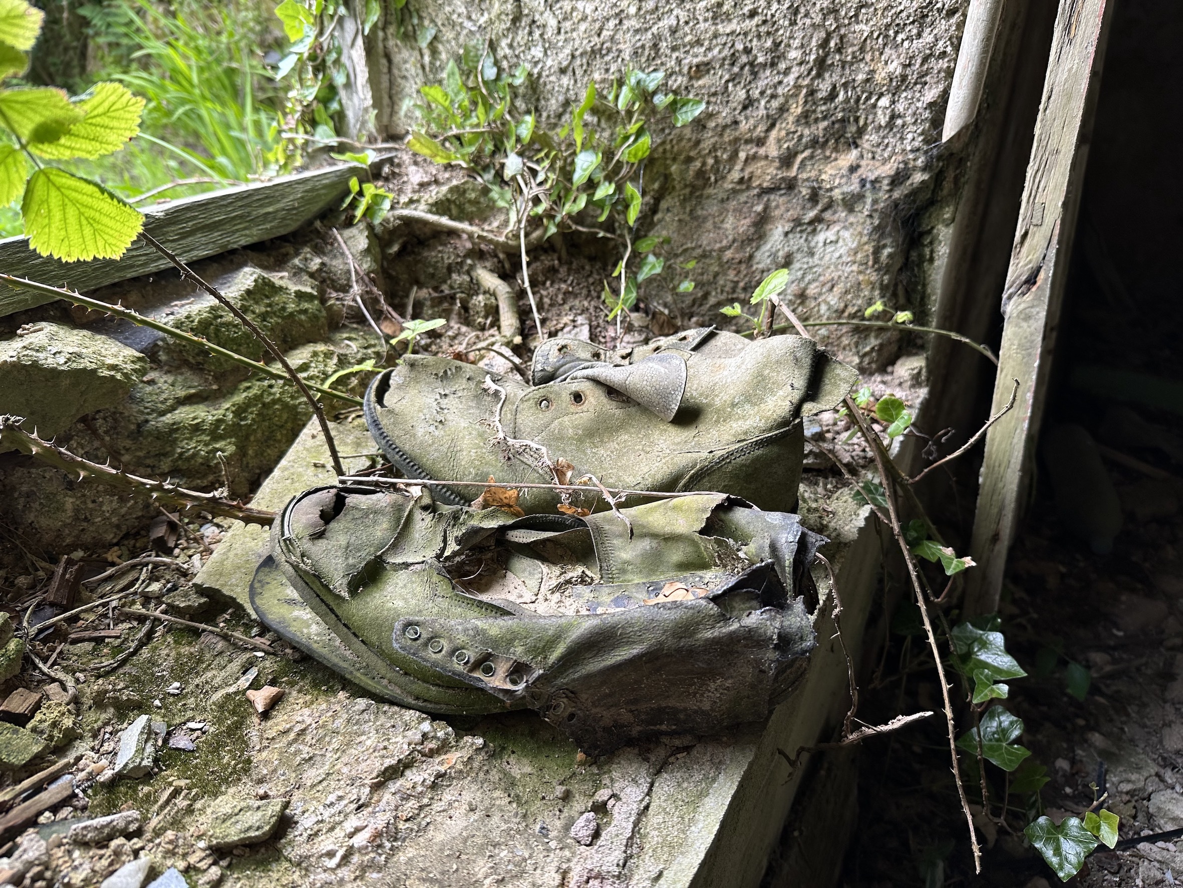 Film still of an old pair of shoes on a stone window sill with brambles growing around and through them.