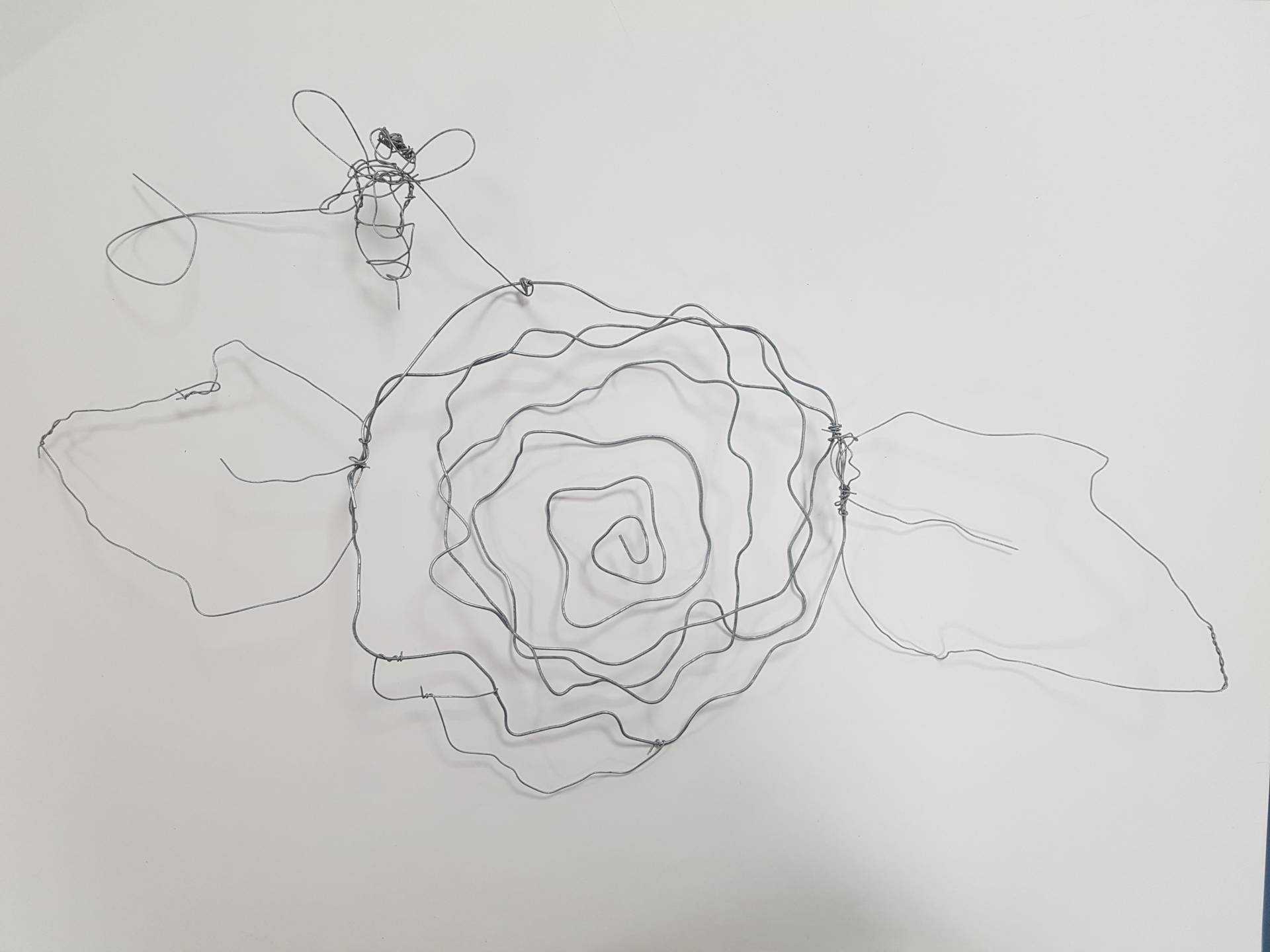 drawing made from wire