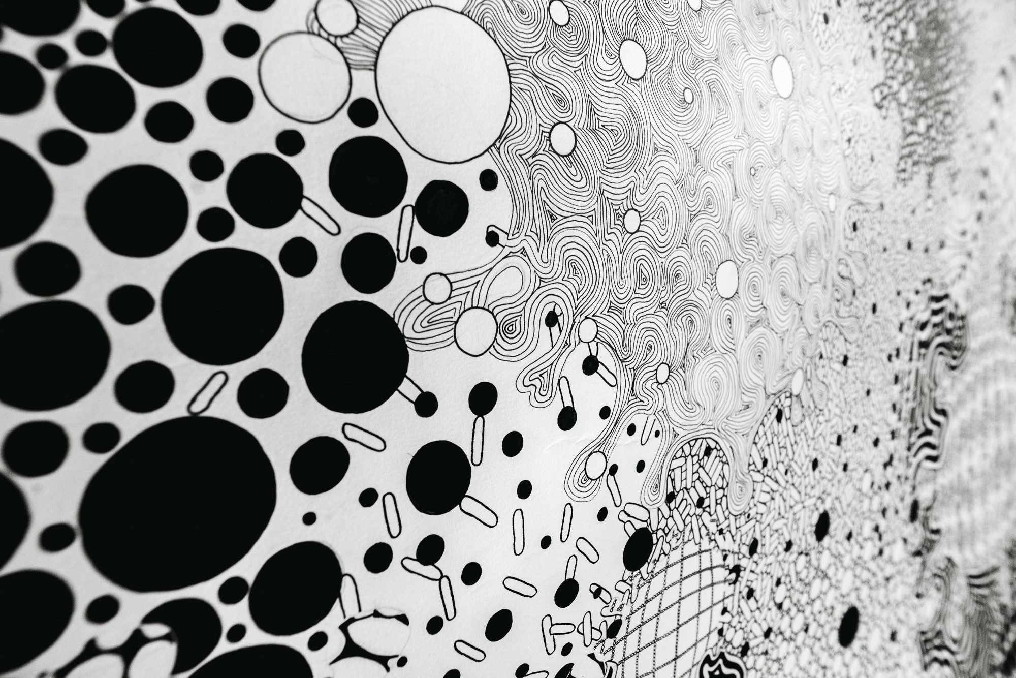 Black and white artwork featuring various circles, lines and spirals.