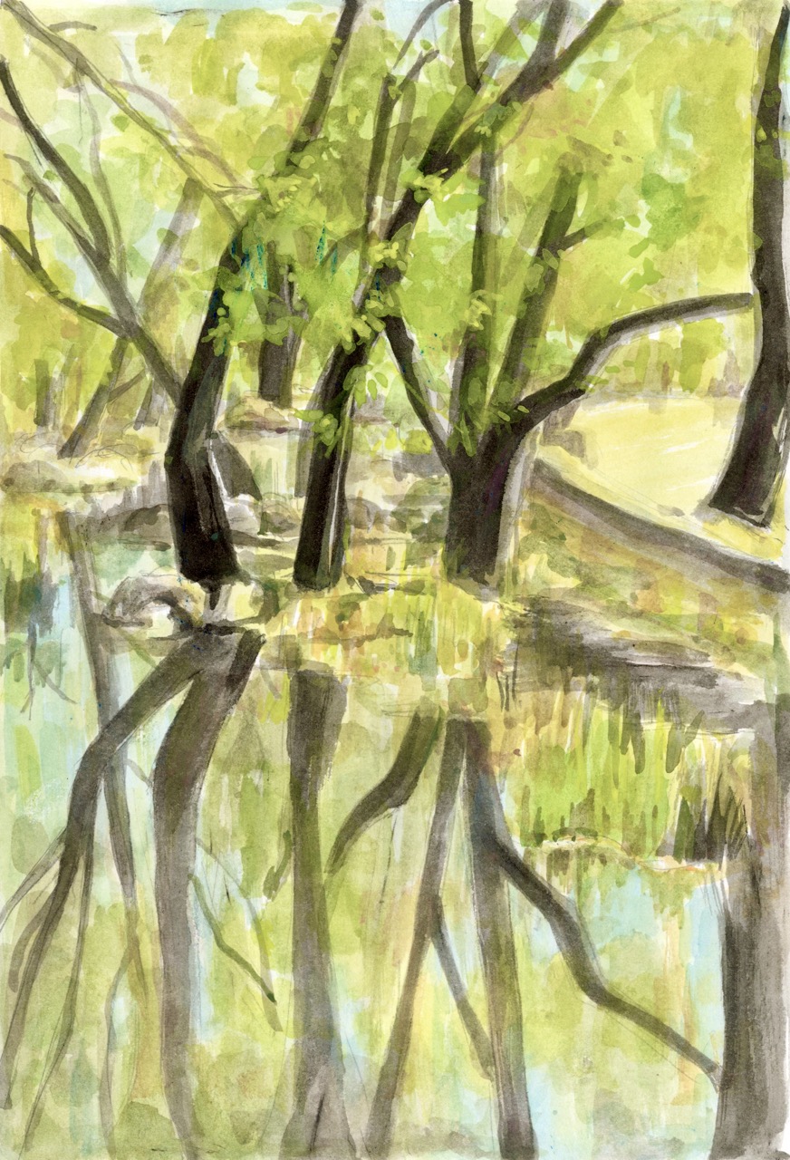 Watercolour painting of trees beside a river, with their dark trunks and branches reflected in the still water.