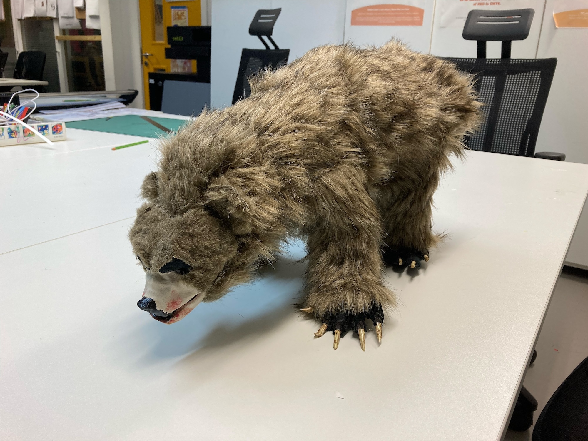 Taxidermied brown bear positioned on white table in office setting, mouth open showing teeth, surrounded by desks and equipment.