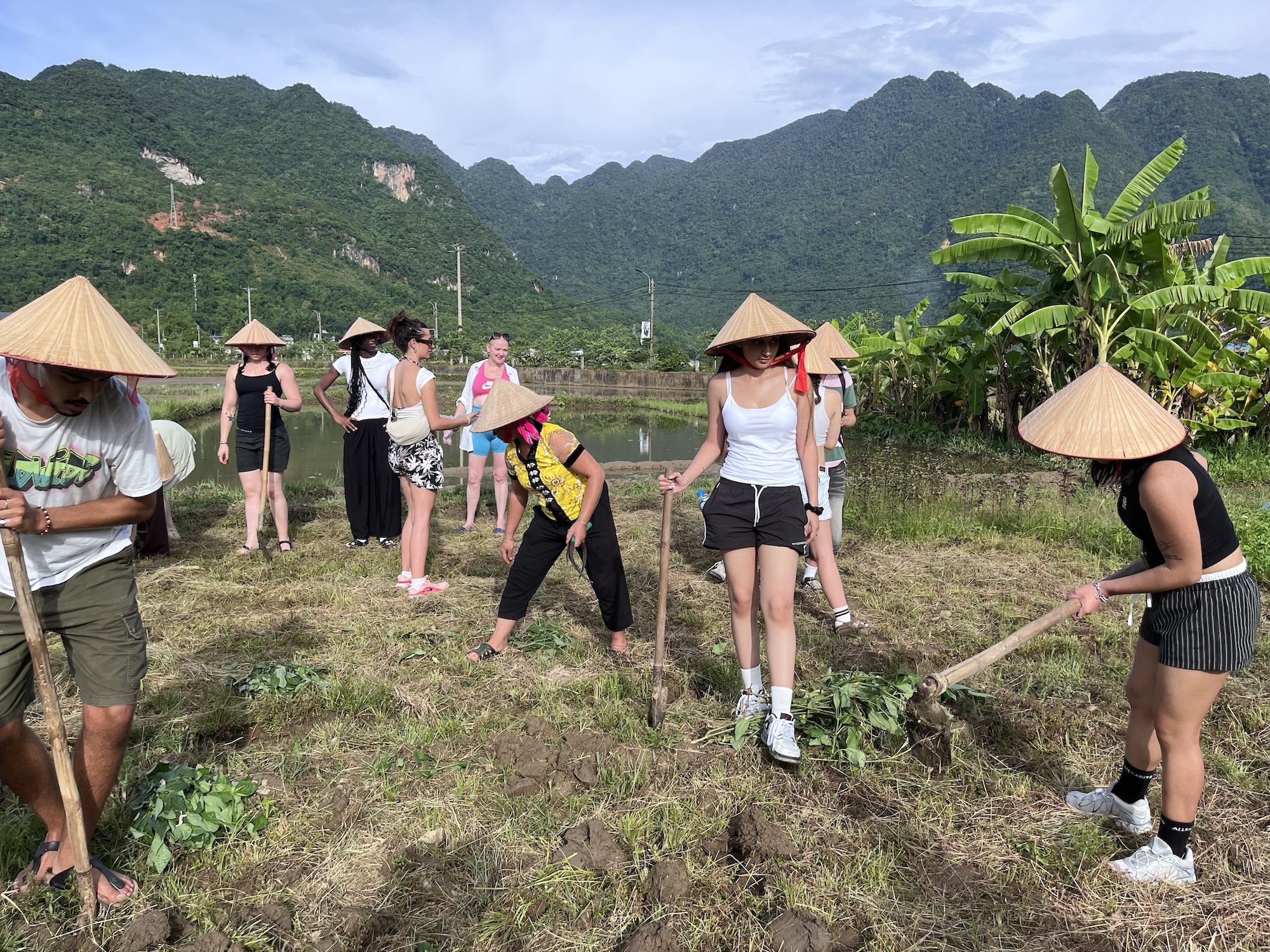 A group of people in straw hats are working on a field, using long-handled tools to cultivate the soil. In the background, there are mountains and greenery, with some participants wearing casual clothing and engaged in the farming activity.