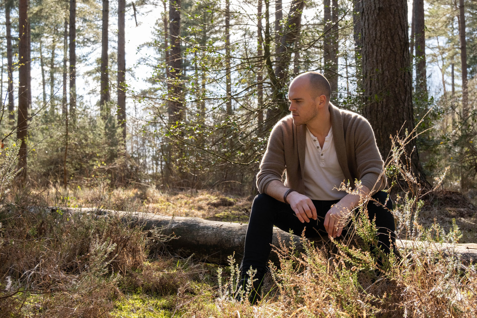 Bald man in grey cardigan and dark trousers sits on fallen log in sunlit forest with tall trees and undergrowth.