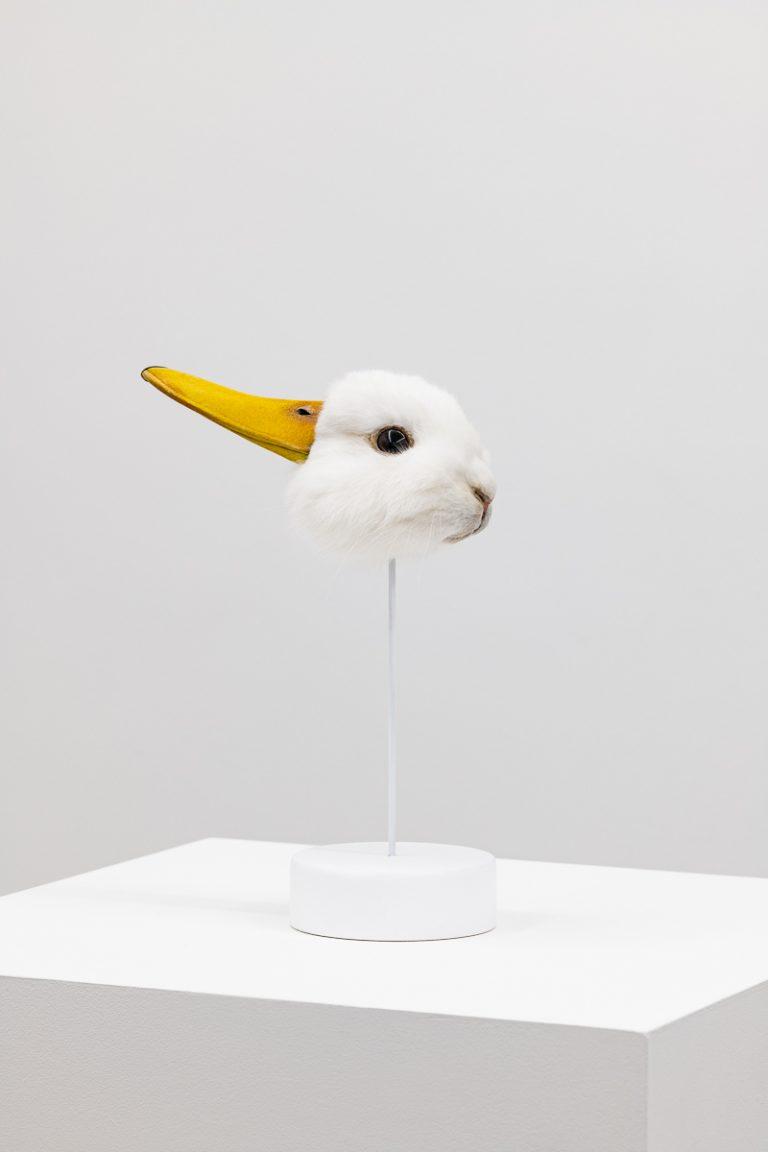 Simon Cunningham’s ‘Duckrabbit’