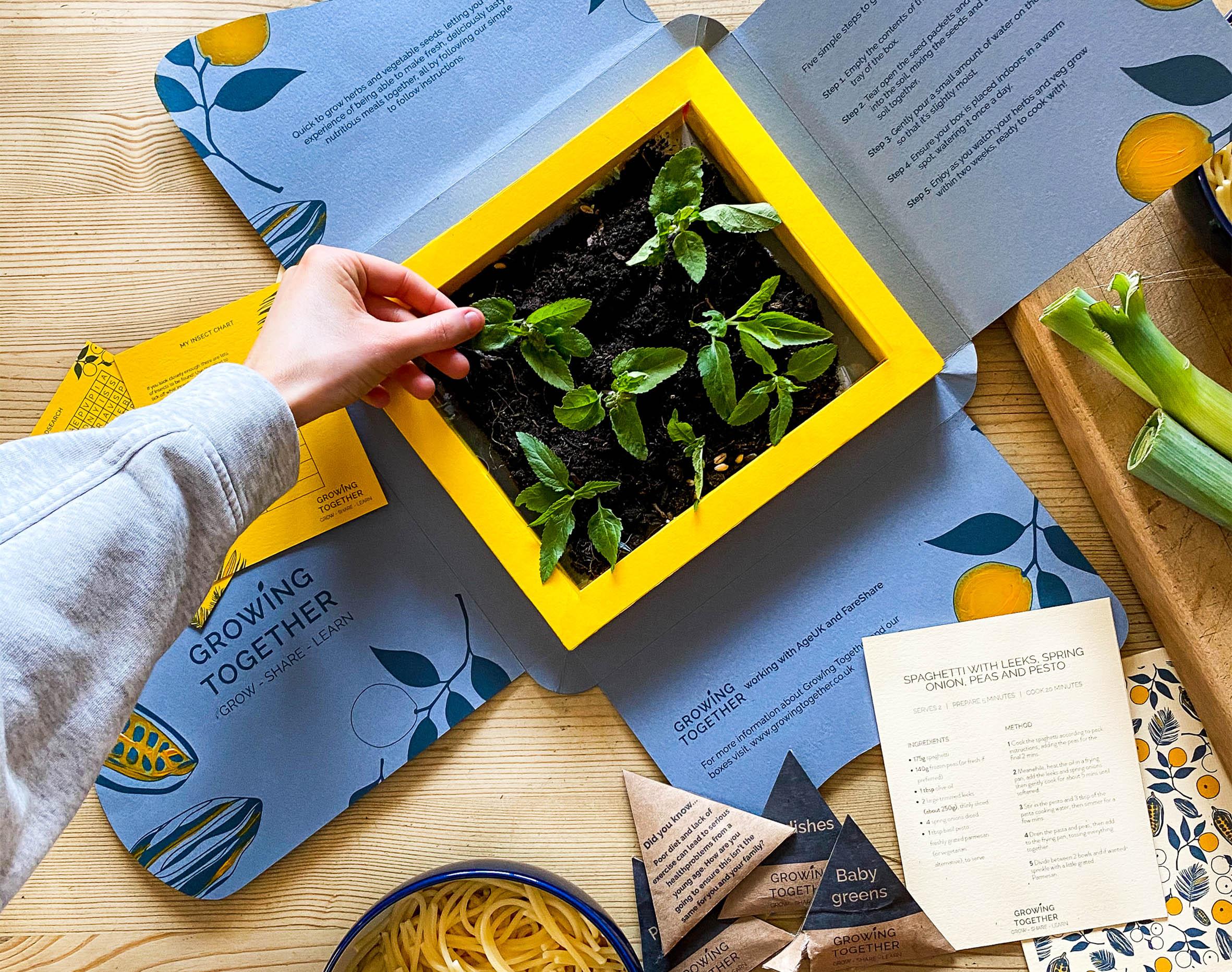 A person's hand by some mint leaves in a box full of soil.