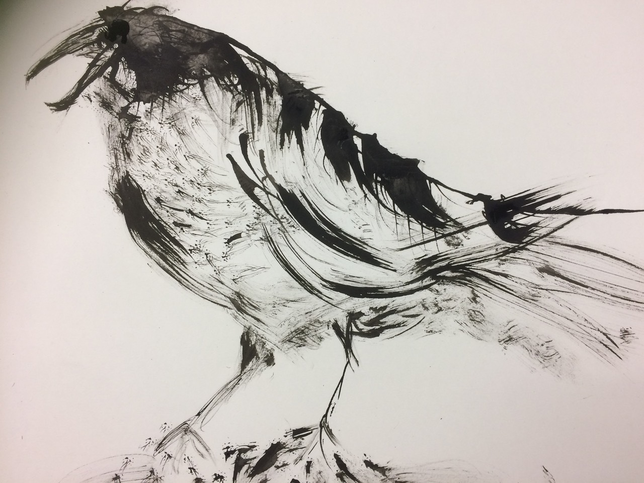 Black ink drawing of a bird with expressive brushstrokes on white paper, showing loose flowing lines and gestural marks