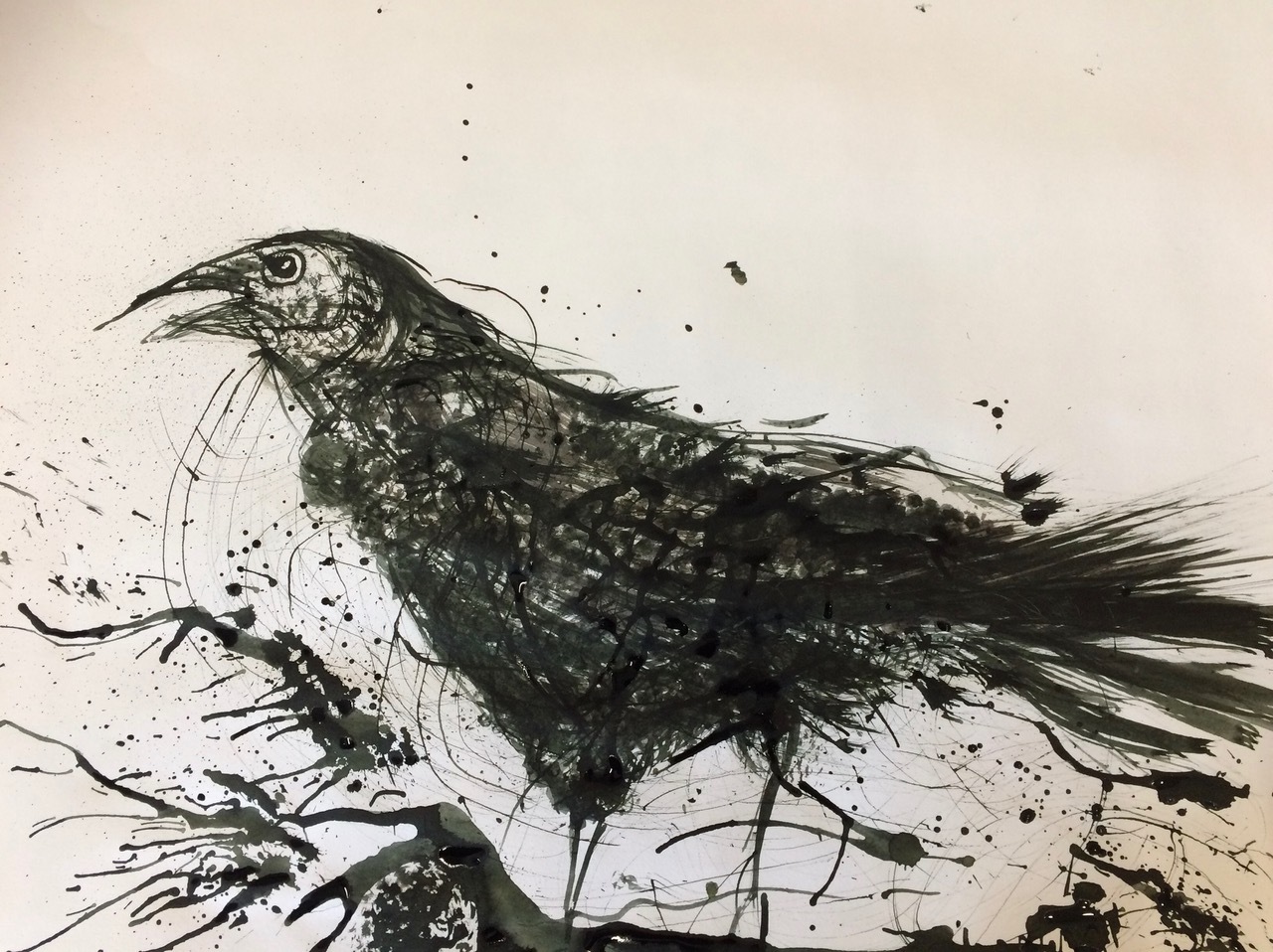 Black ink drawing of a raven with loose, expressive brushstrokes and ink splatters on cream-coloured paper