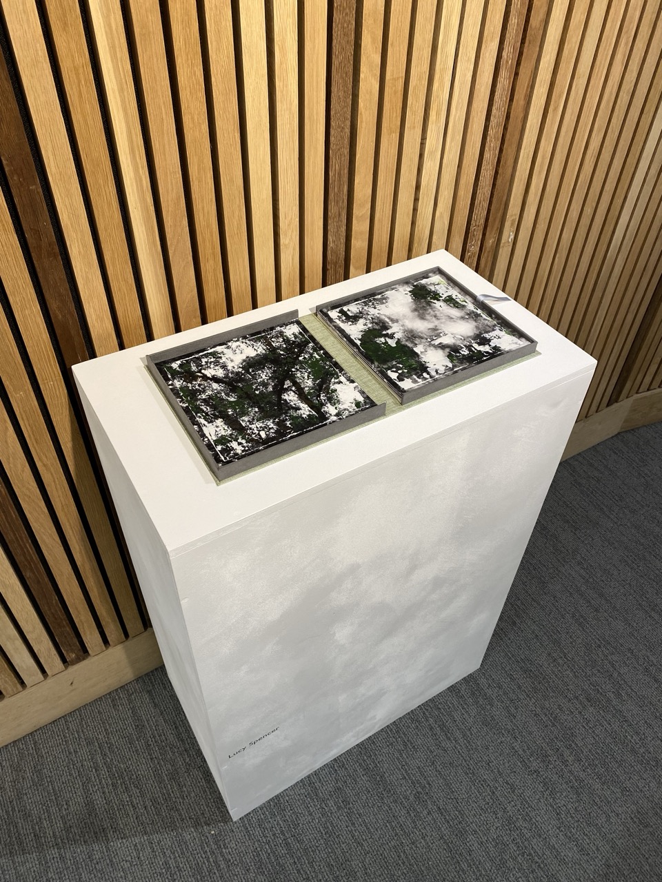 A white pedestal displays an open book with two black-and-white forest photographs, set against a vertical wooden slat wall and grey carpet.