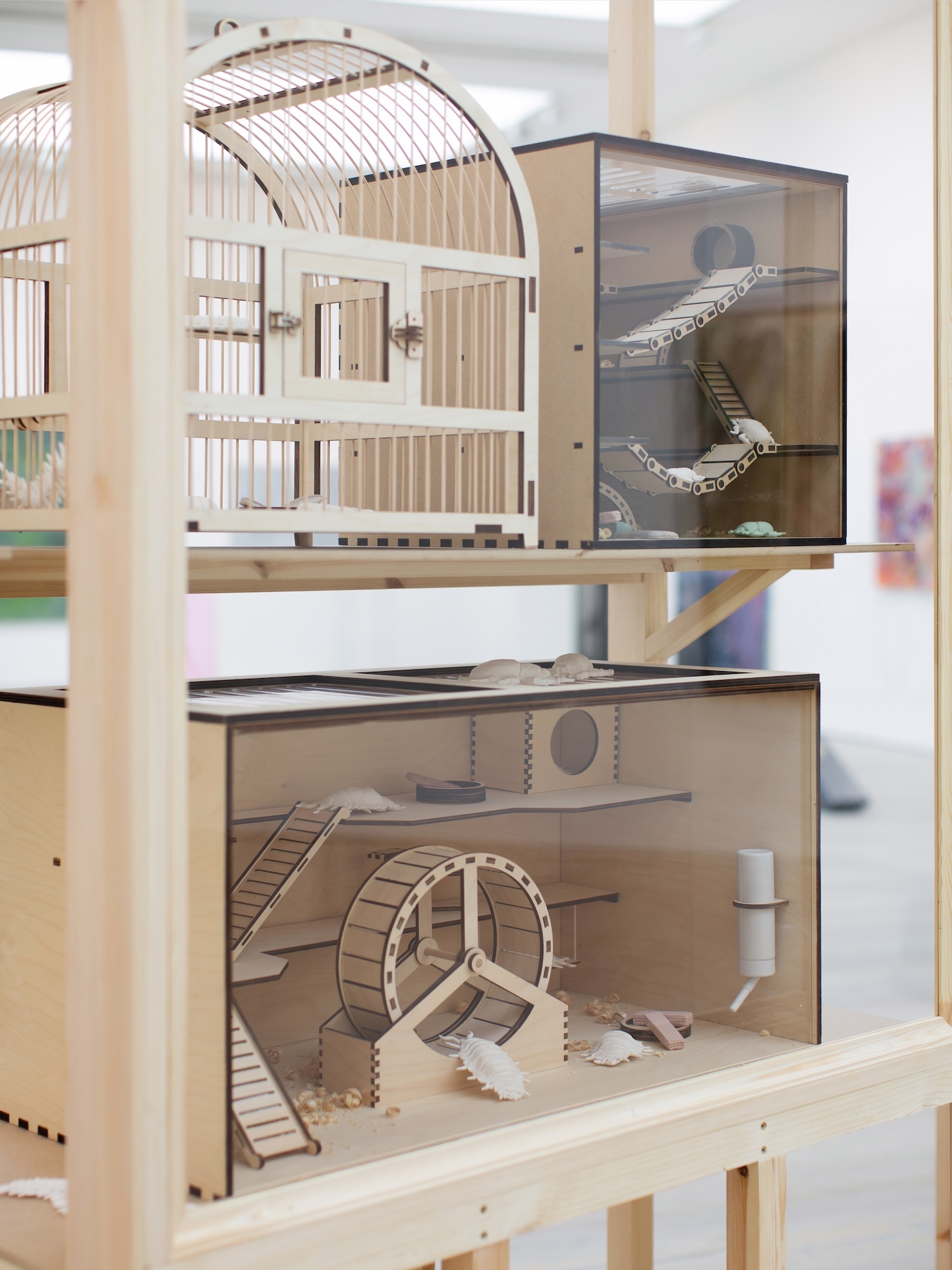 Wooden architectural models displayed on shelves, featuring miniature structures with curved and angular forms in natural wood tones.