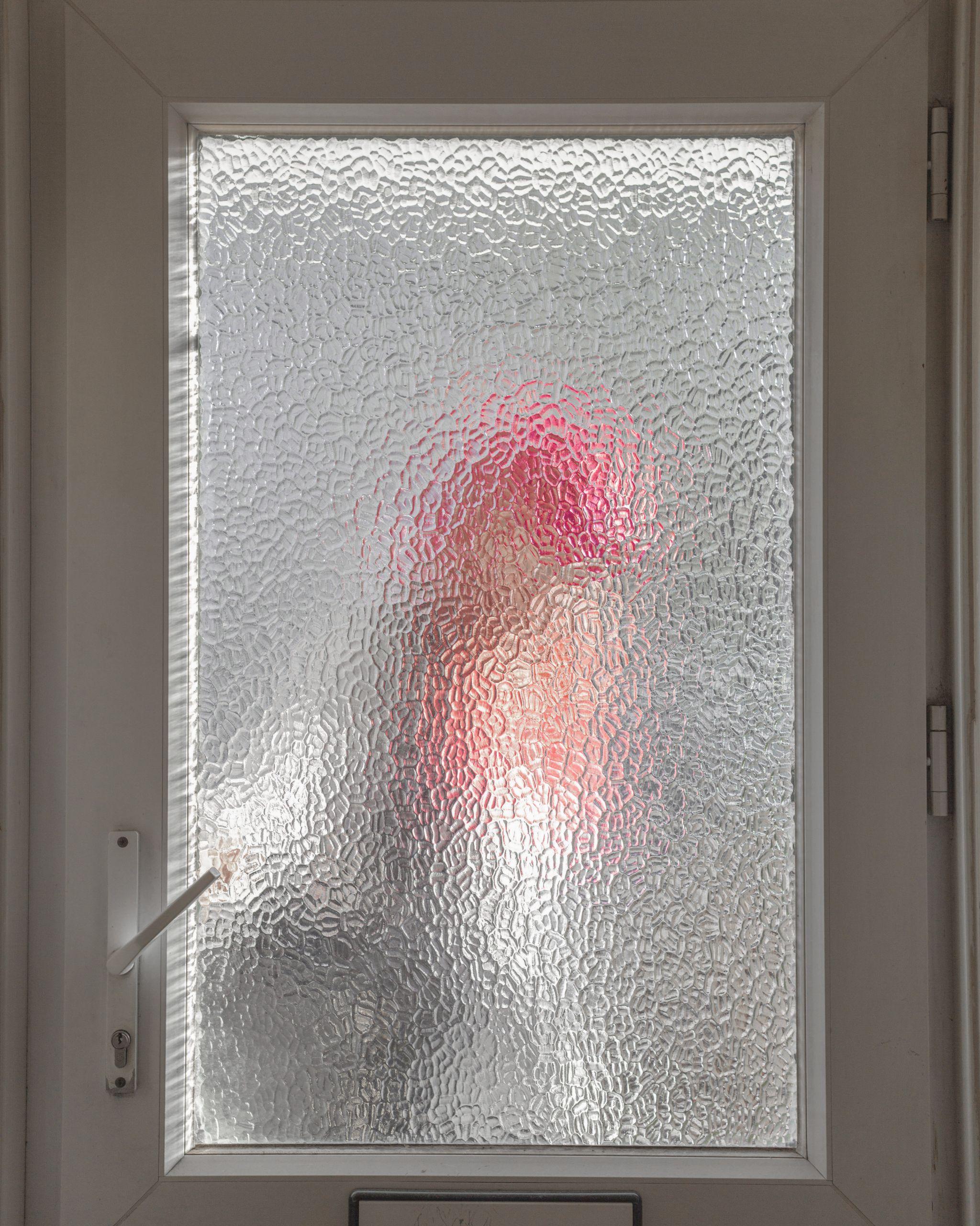 A photo of a chicken standing behind a frosted glass window.