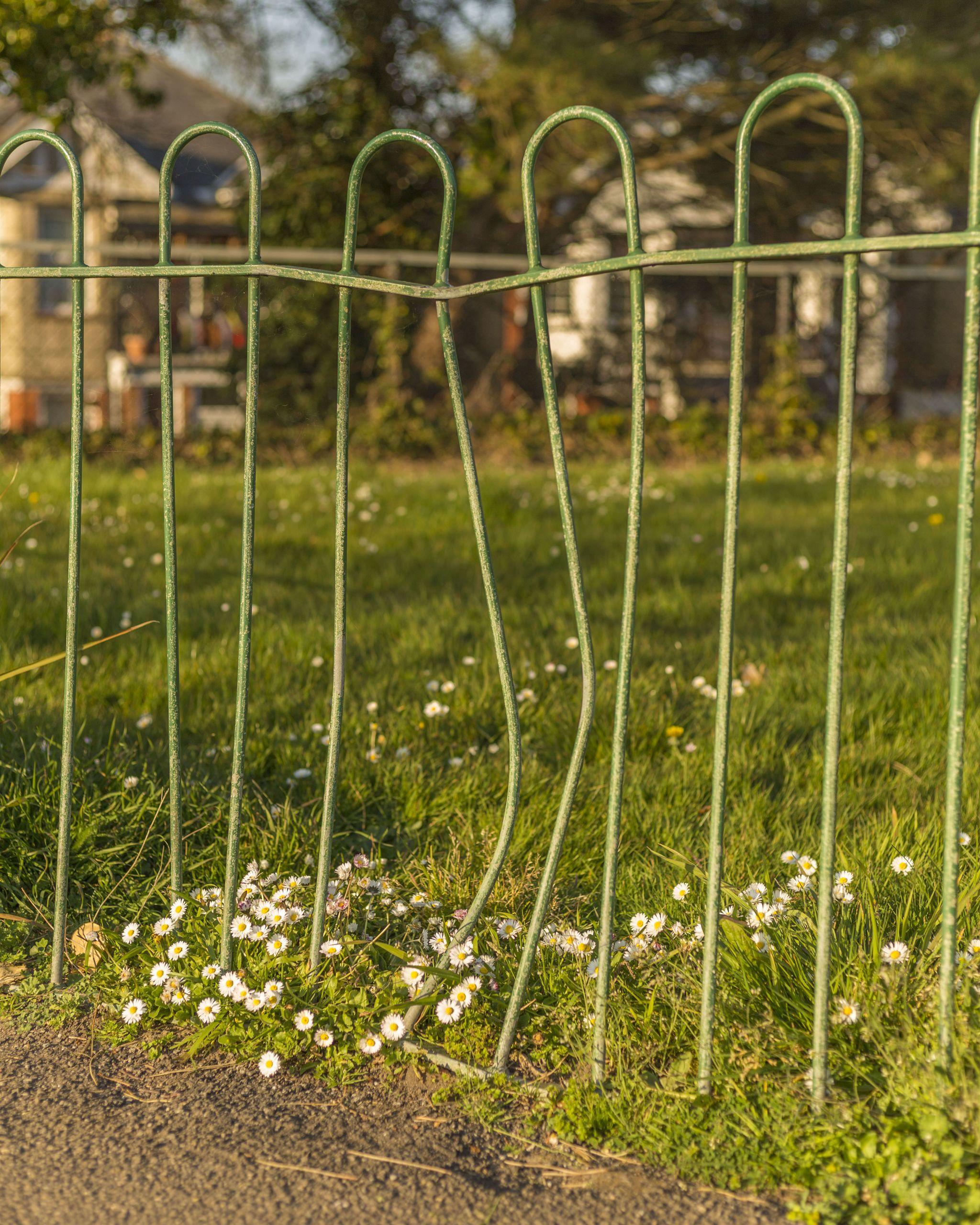 Photo of a broken park fence with a lawn behind it.