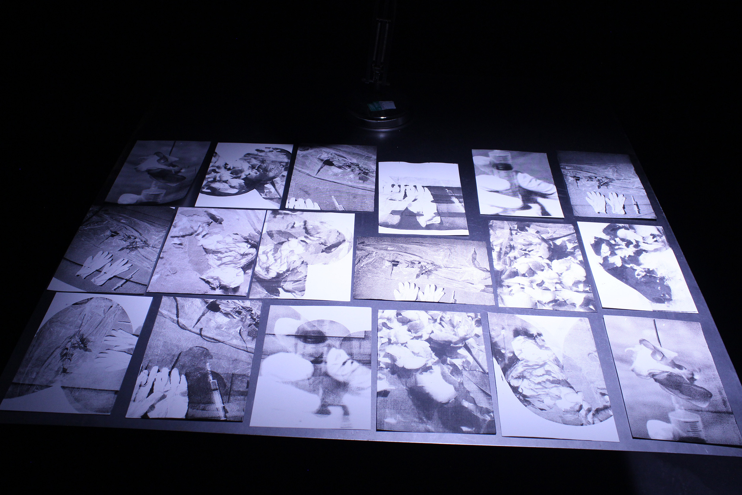 Grid of black and white photographs illuminated on light table in darkened room, arranged in three rows of six images each. Showcasing a syringe, rose, plastic tarp, hands and gloves. With the rose becoming broken down by the syringe in each image.