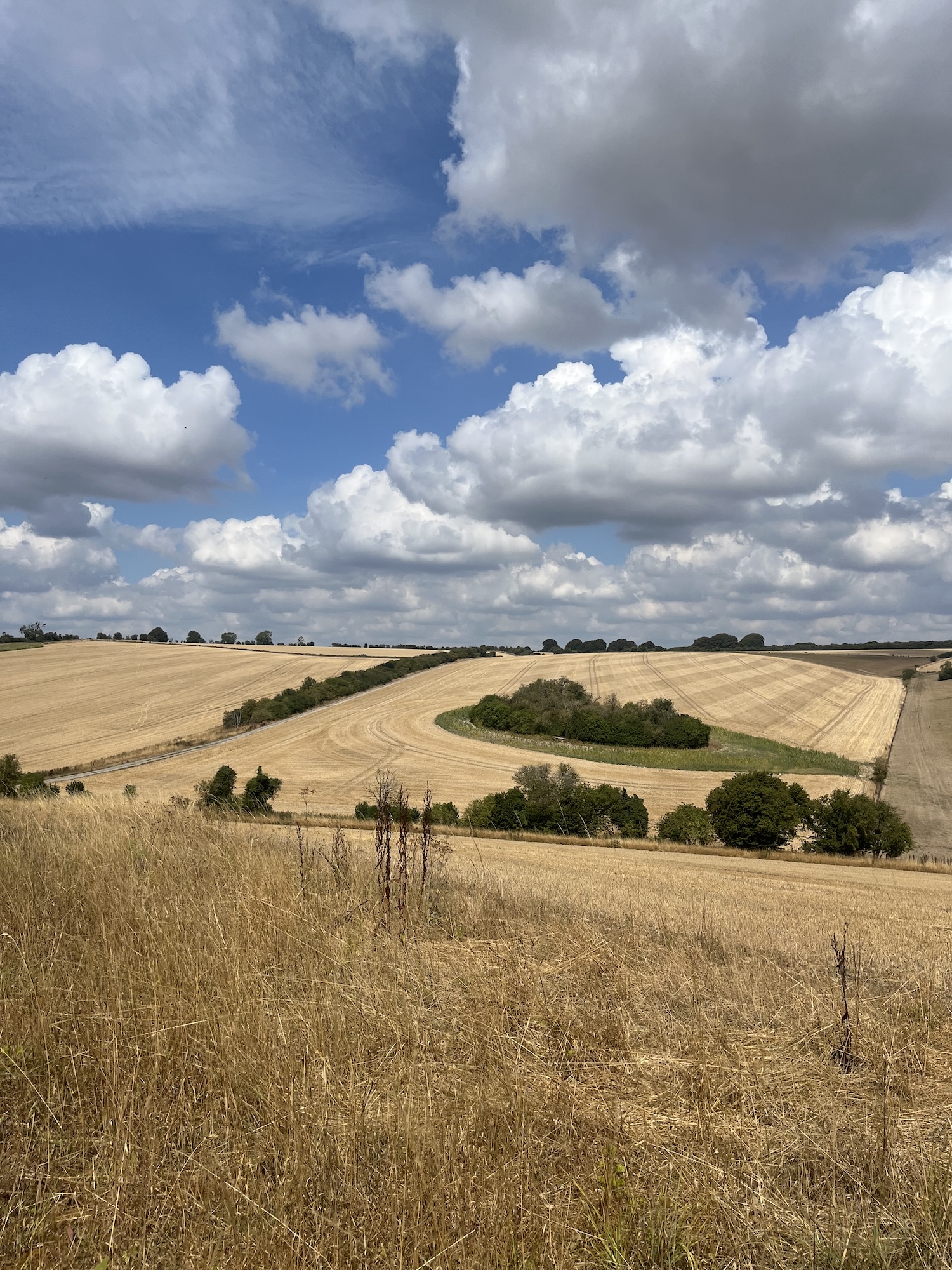 A harvested wheat field with curved tracks and patches of trees under a blue sky with large white clouds.