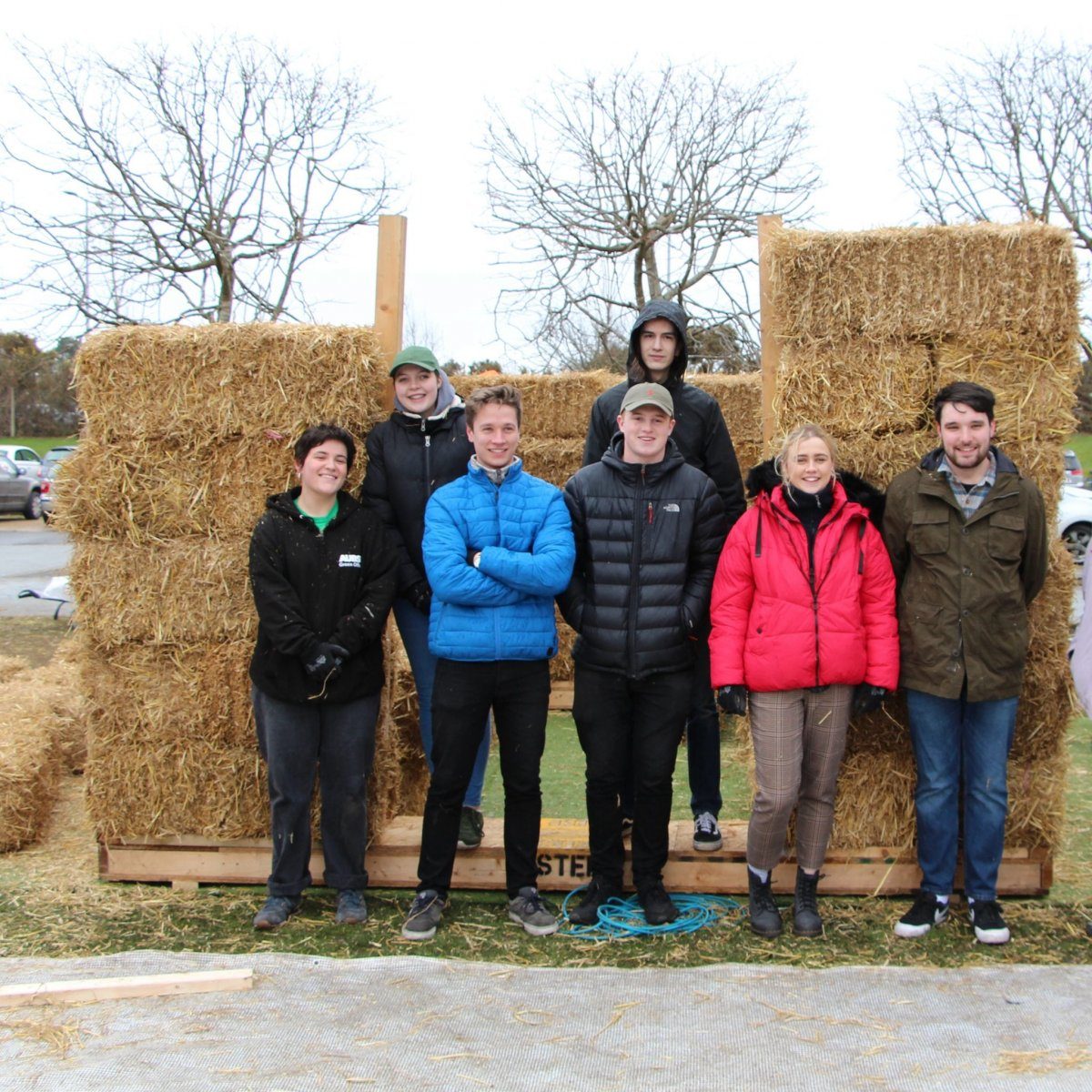 AUB Human volunteers stood by a straw bale