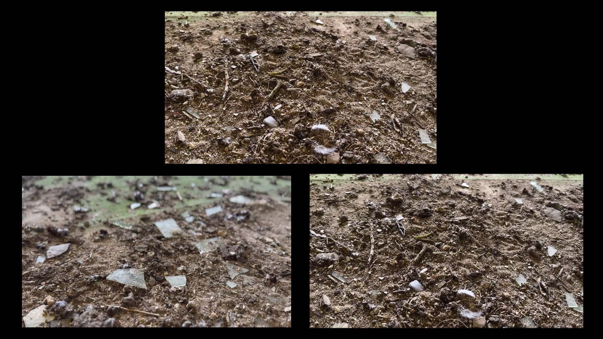 Three images showing brown soil with scattered white debris and organic matter. Top image features a circular pink object amongst the dirt.