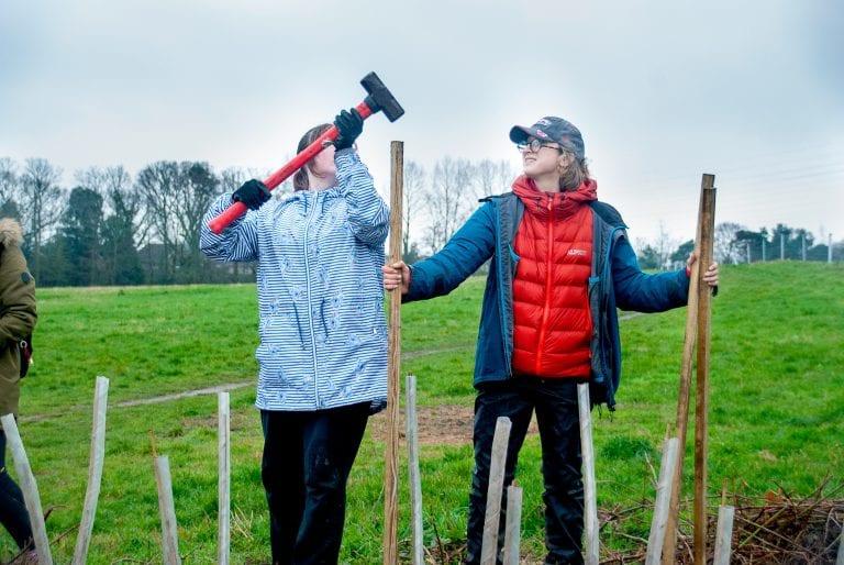 Tree-planters in action