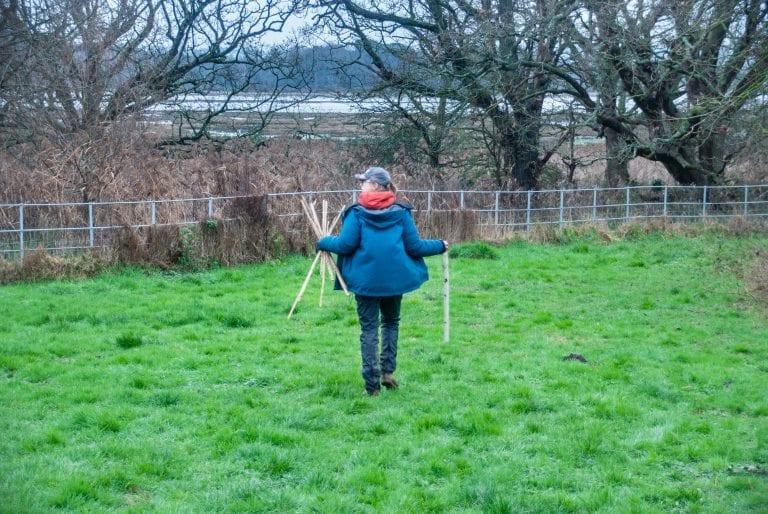 Upton Country Park Tree Planting initiative