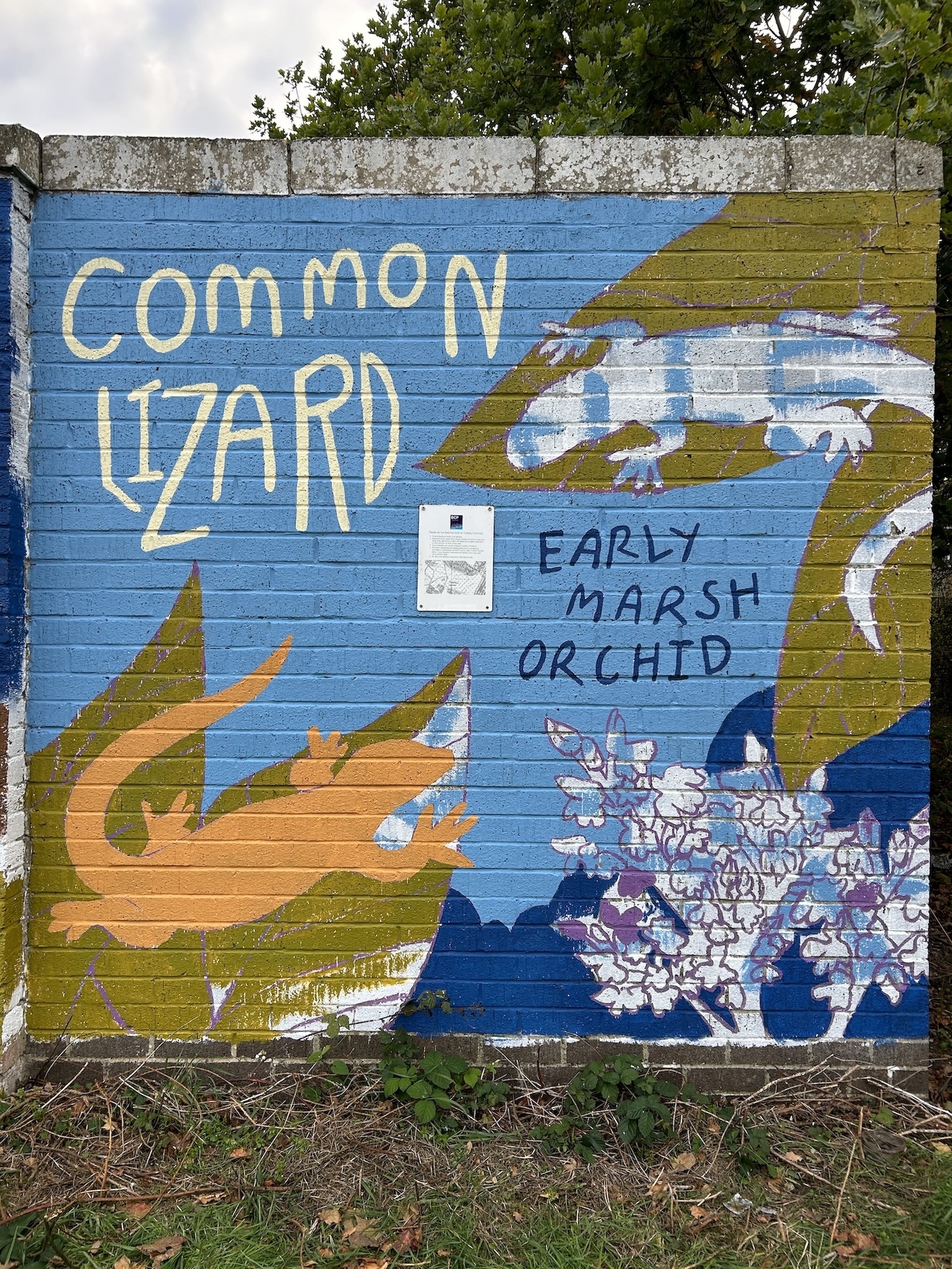 Wall mural with blue background featuring yellow "COMMON LIZARD" text, green and orange lizard illustration, and white orchid flowers.