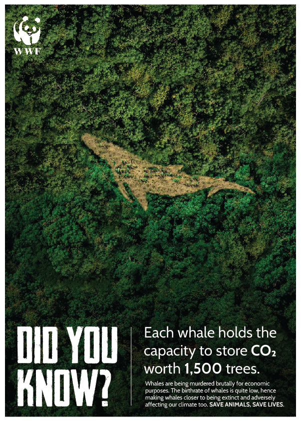 Poster from WWF showing an aerial view of a forest with the shape of a whale cut out in the middle. The words 'Did You Know?' appear at the bottom-left corner of the poster, with another block of text to the right.